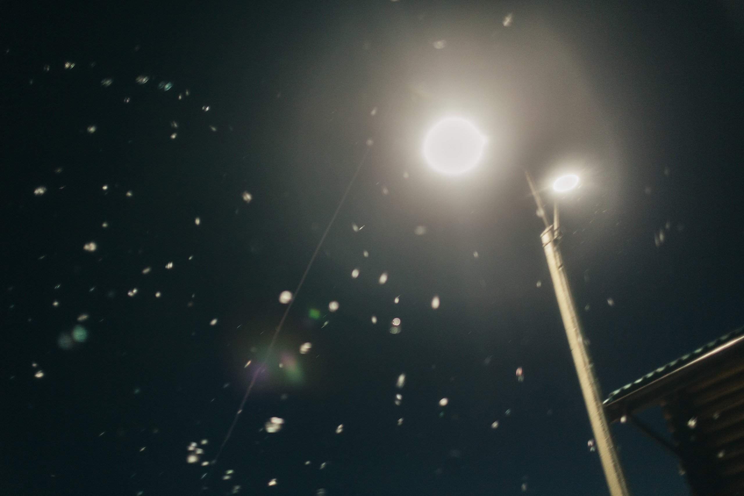 Фуксия/Голубая волна/Зеленый. Портфолио свадебного фотографа. Роман Каргаполов