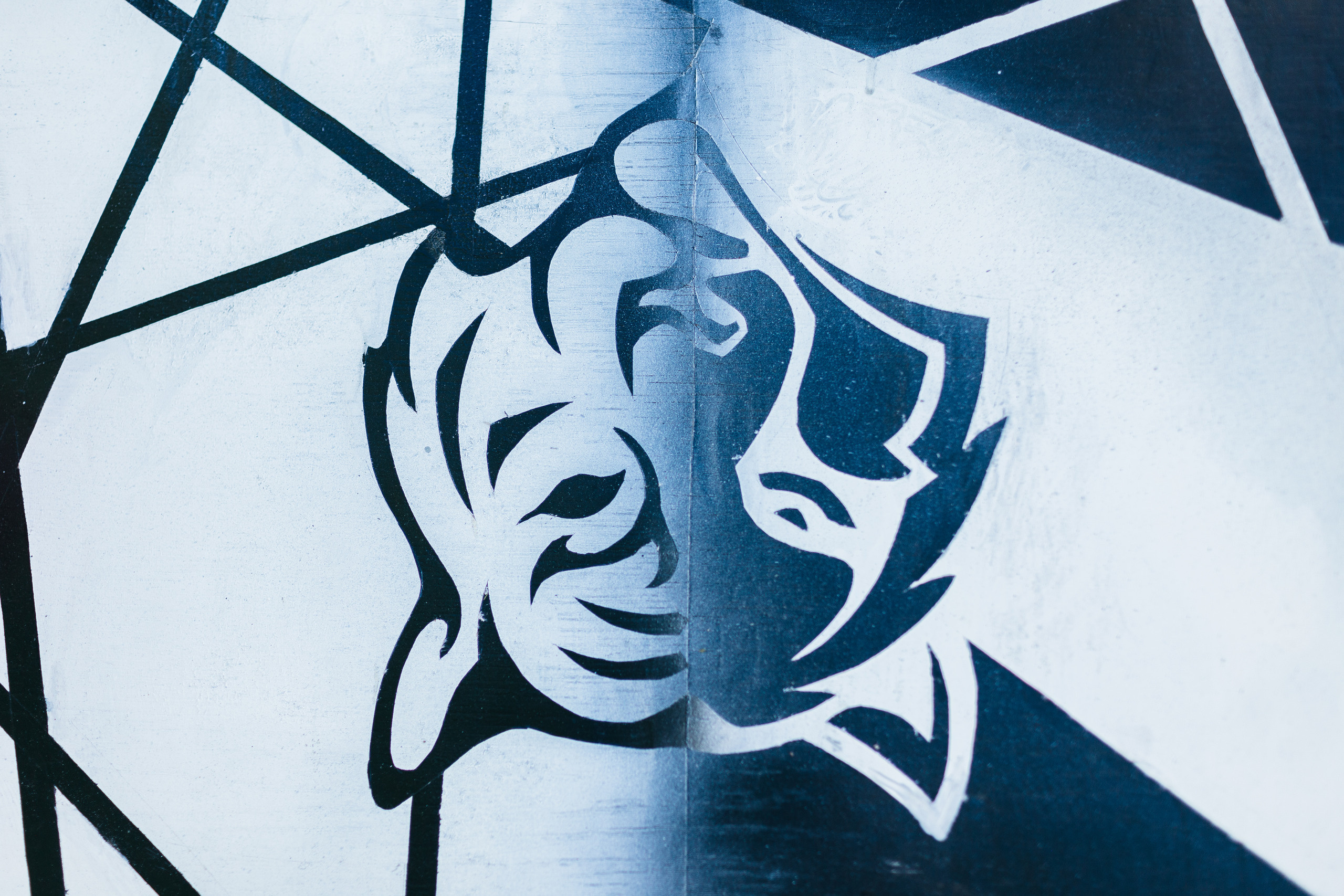 Фуксия/Голубая волна/Зеленый. Портфолио свадебного фотографа. Роман Каргаполов