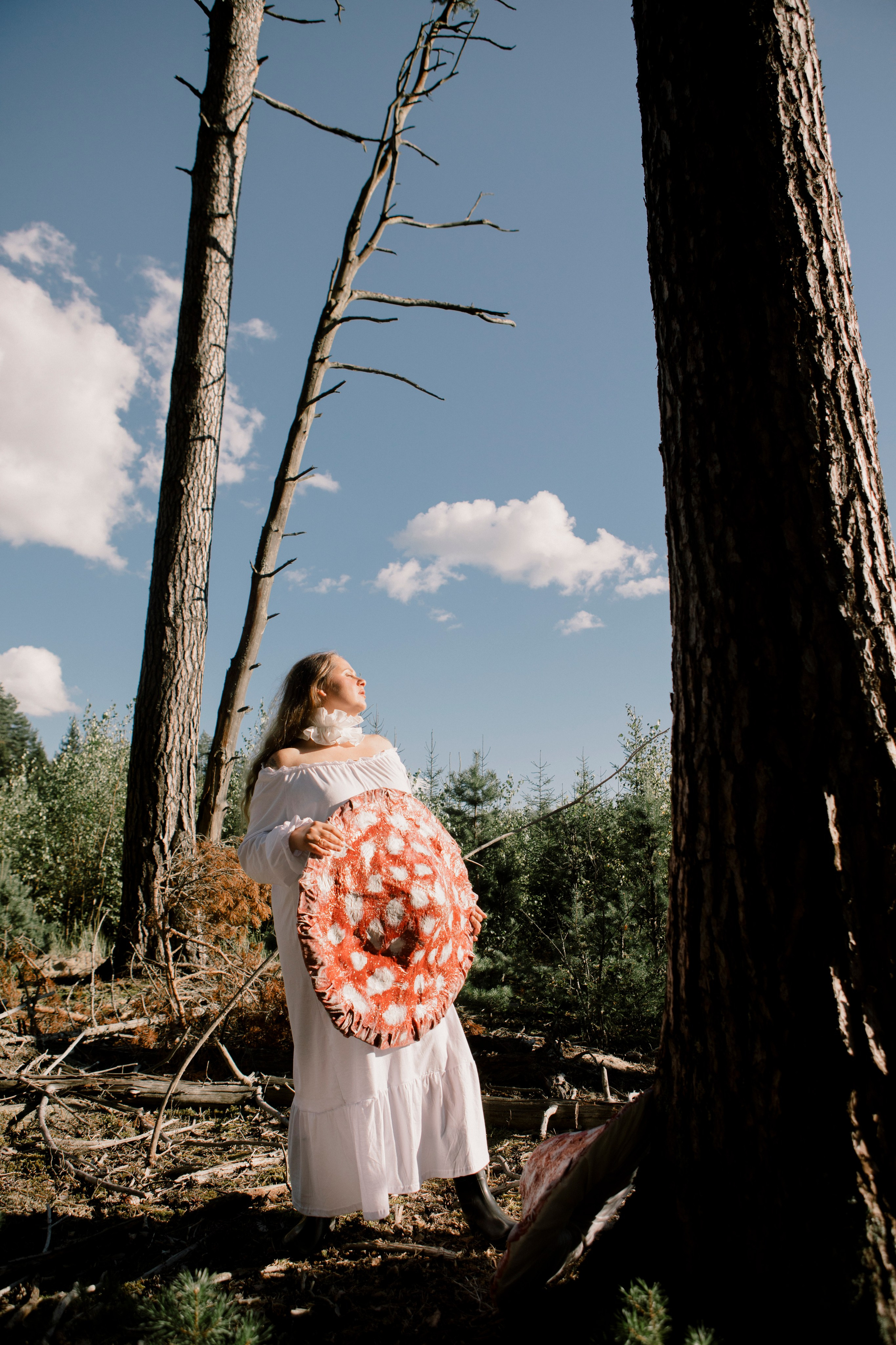 Грибы. Ольга Пилант. АРТ, бэкстейдж, свадебная и семейная фотография, городской портрет, интерьерная фотография