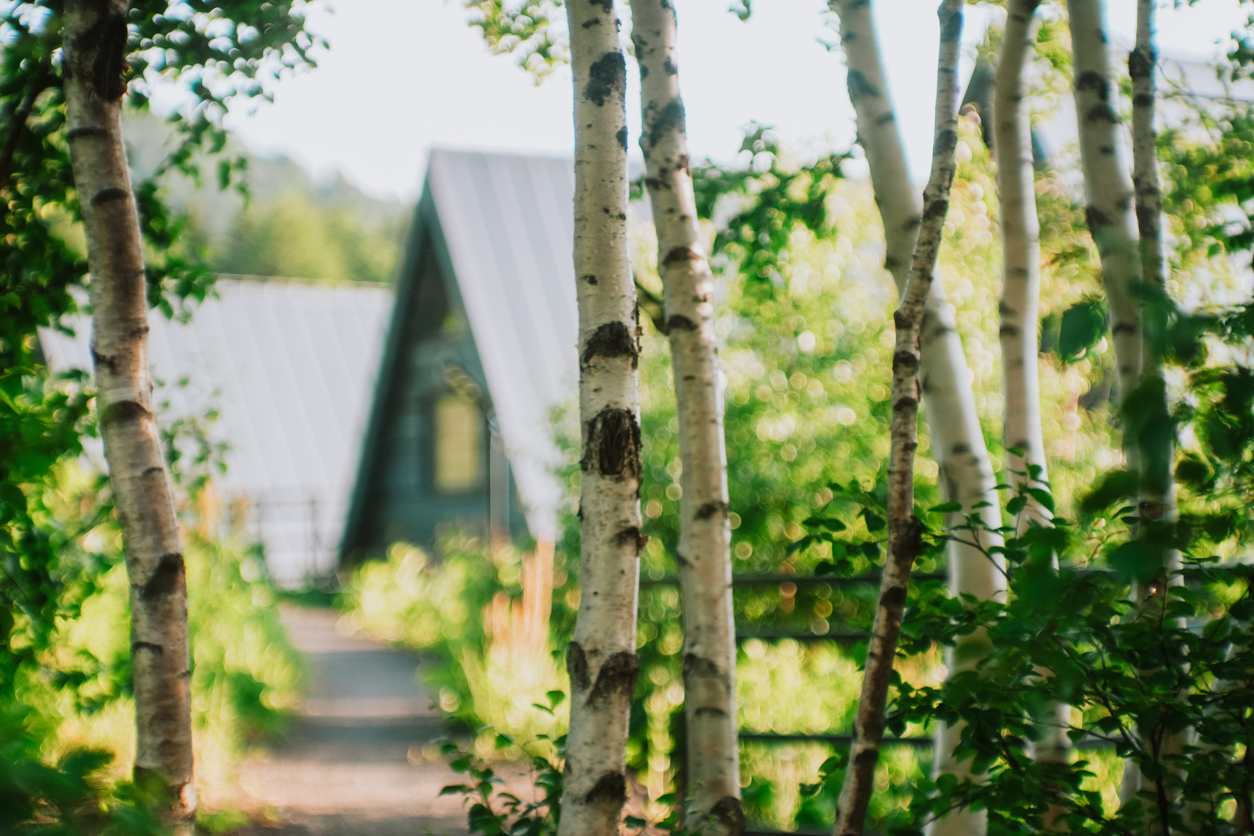 Нахазо ✽ Июль. Репортажный фотограф | Роза Хутор Красная Поляна Сочи Сириус