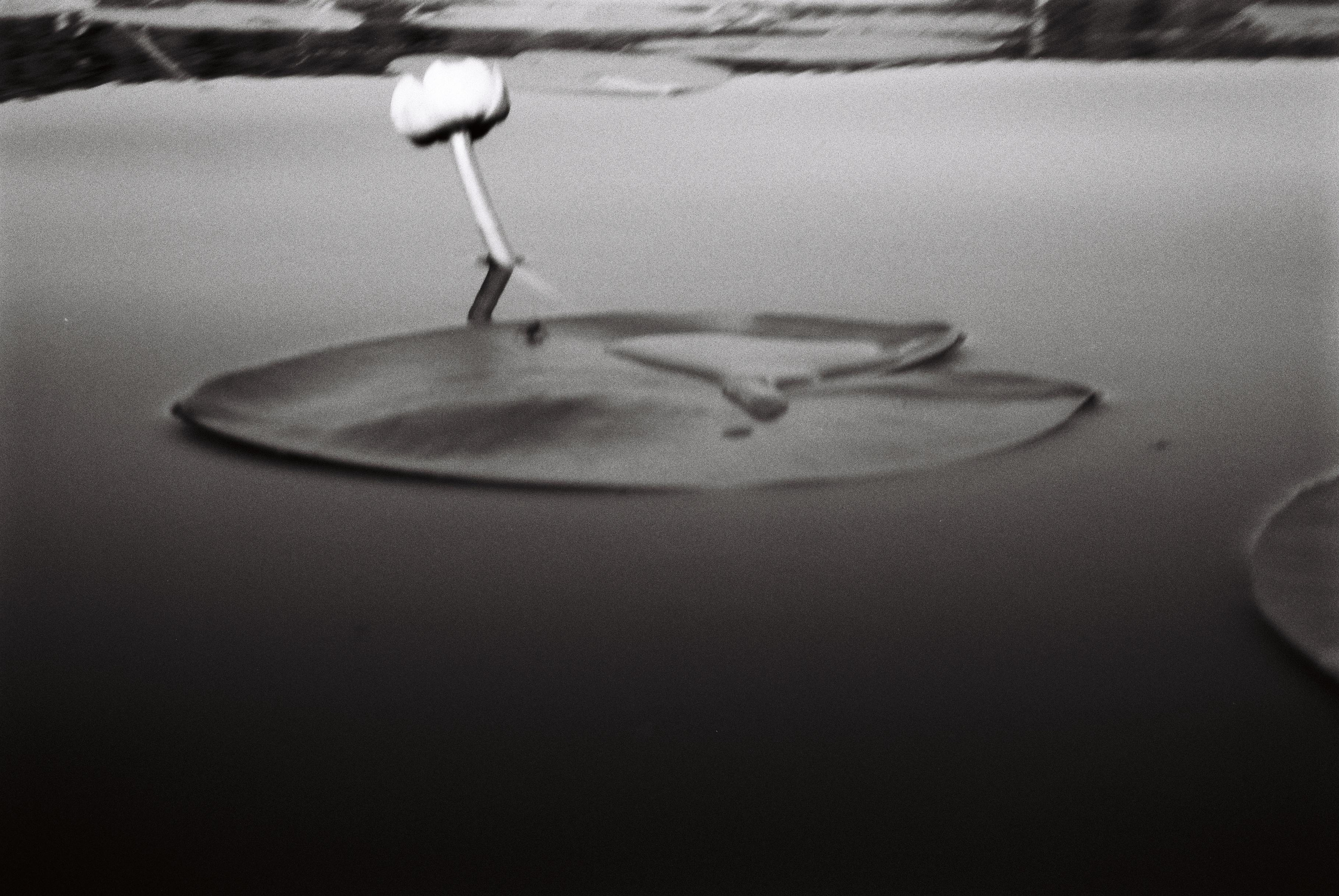 Dream chronicle. Part I. Pictorial dream — fine art fil photography by Yaroslav Pavlov