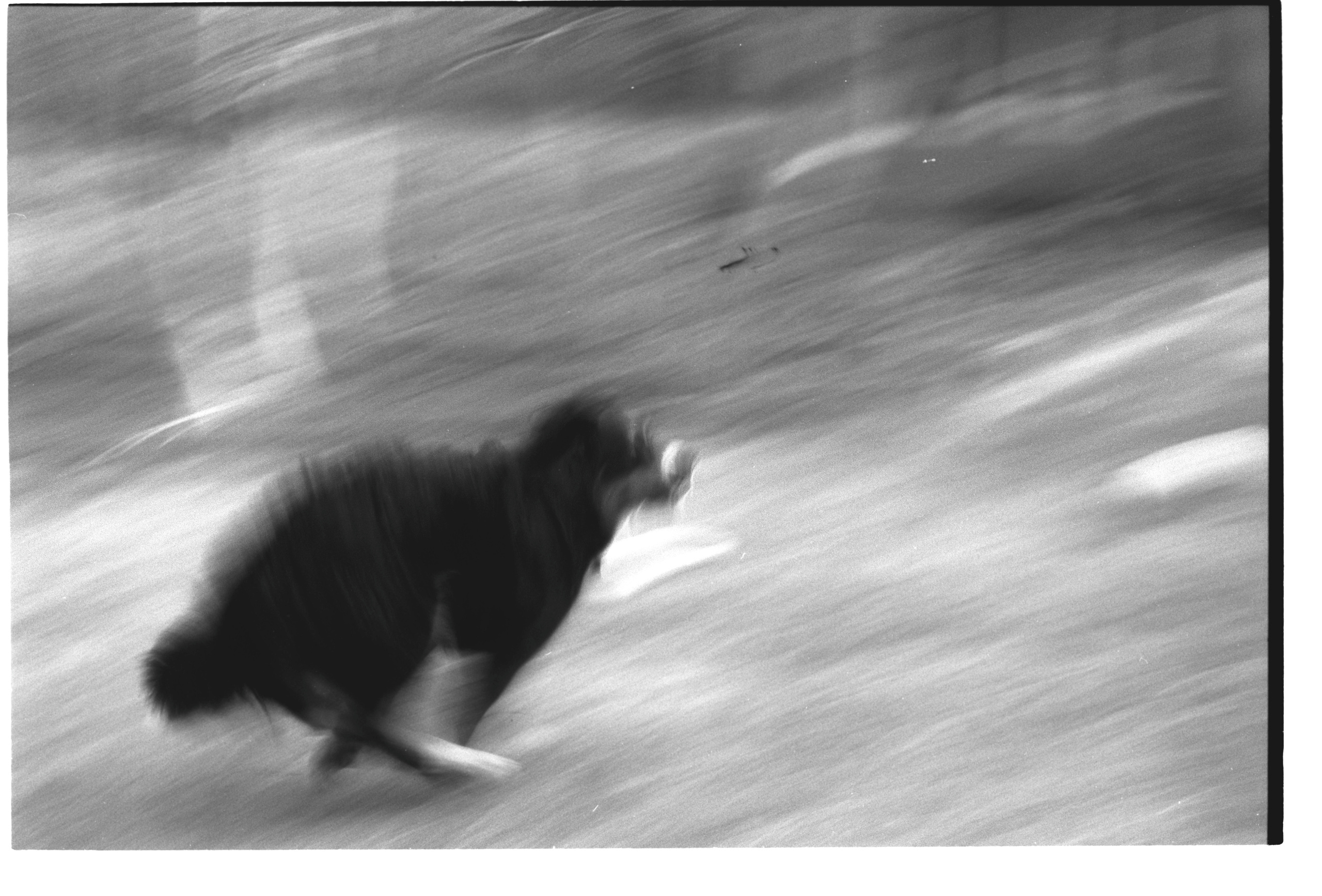 Dream chronicle. Part I. Pictorial dream — fine art fil photography by Yaroslav Pavlov