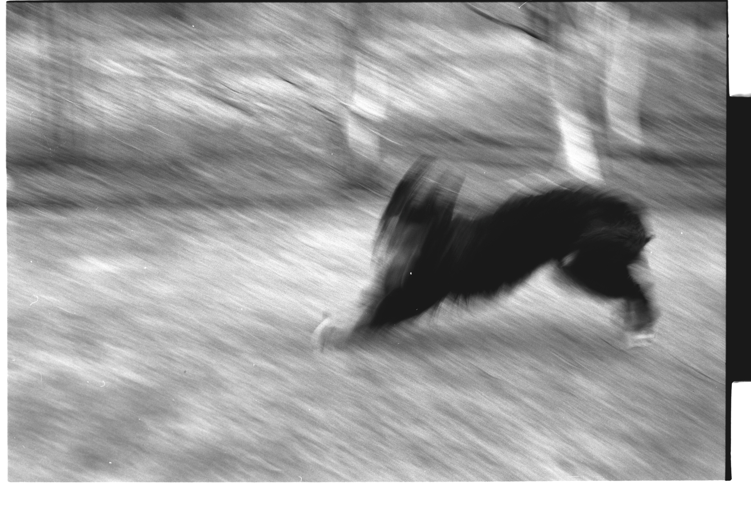 Dream chronicle. Part I. Pictorial dream — fine art fil photography by Yaroslav Pavlov