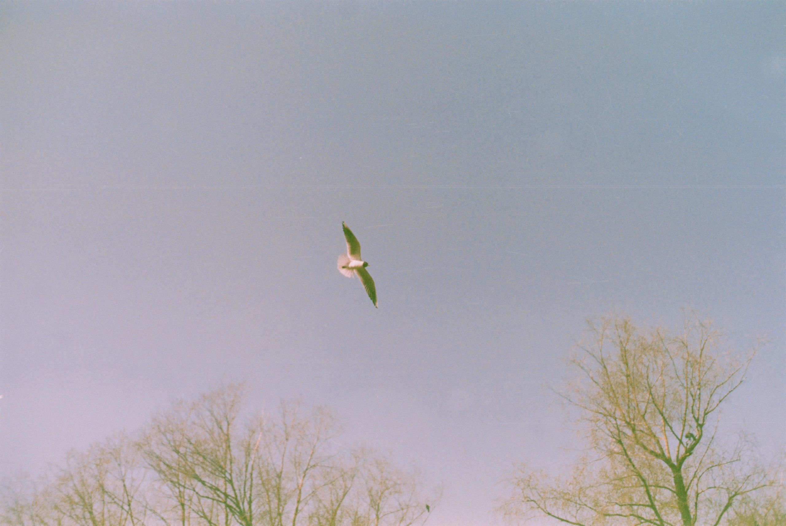 Dream chronicle. Part I. Pictorial dream — fine art fil photography by Yaroslav Pavlov