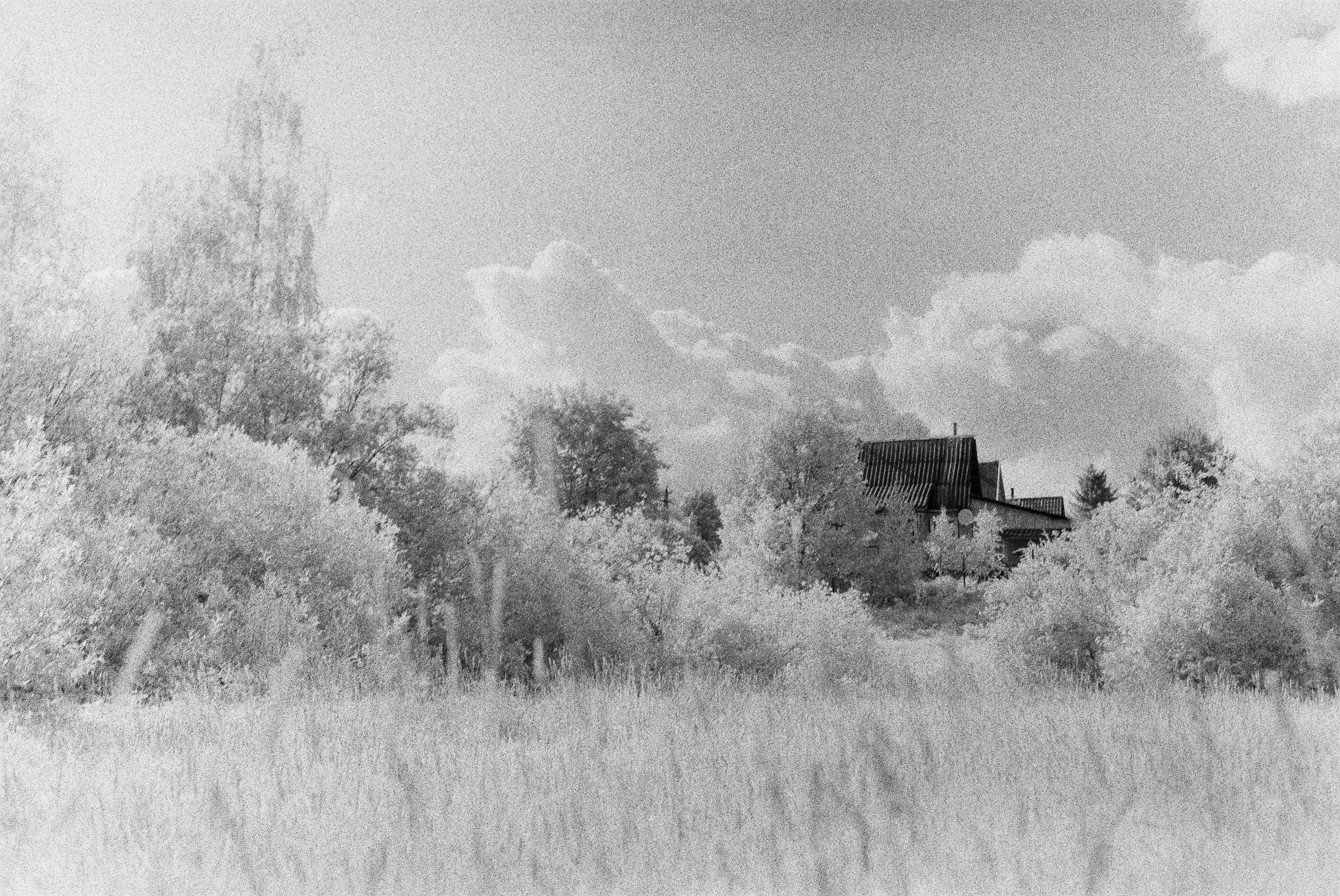 Dream chronicle. Part I. Pictorial dream — fine art fil photography by Yaroslav Pavlov