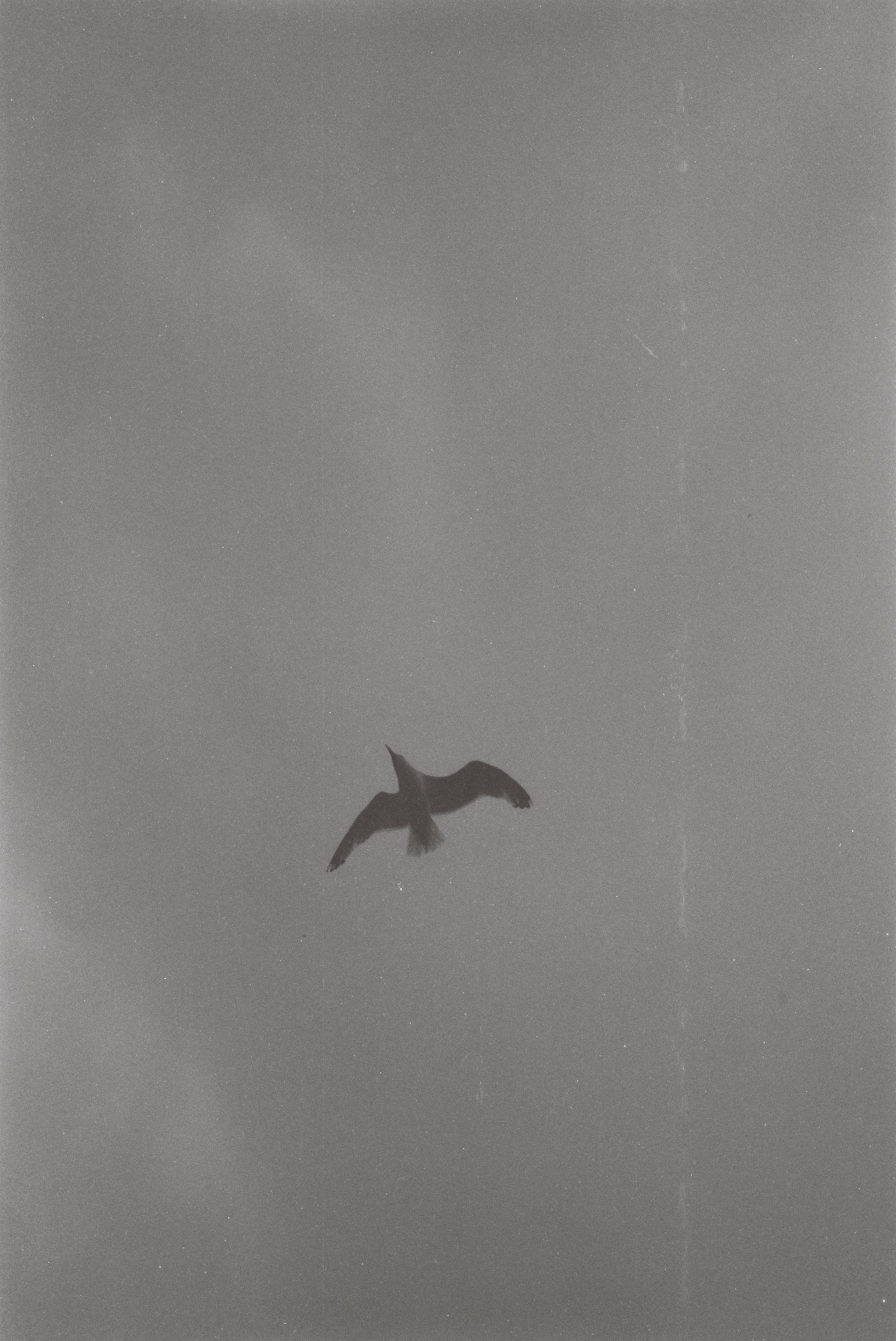 Dream chronicle. Part I. Pictorial dream — fine art fil photography by Yaroslav Pavlov