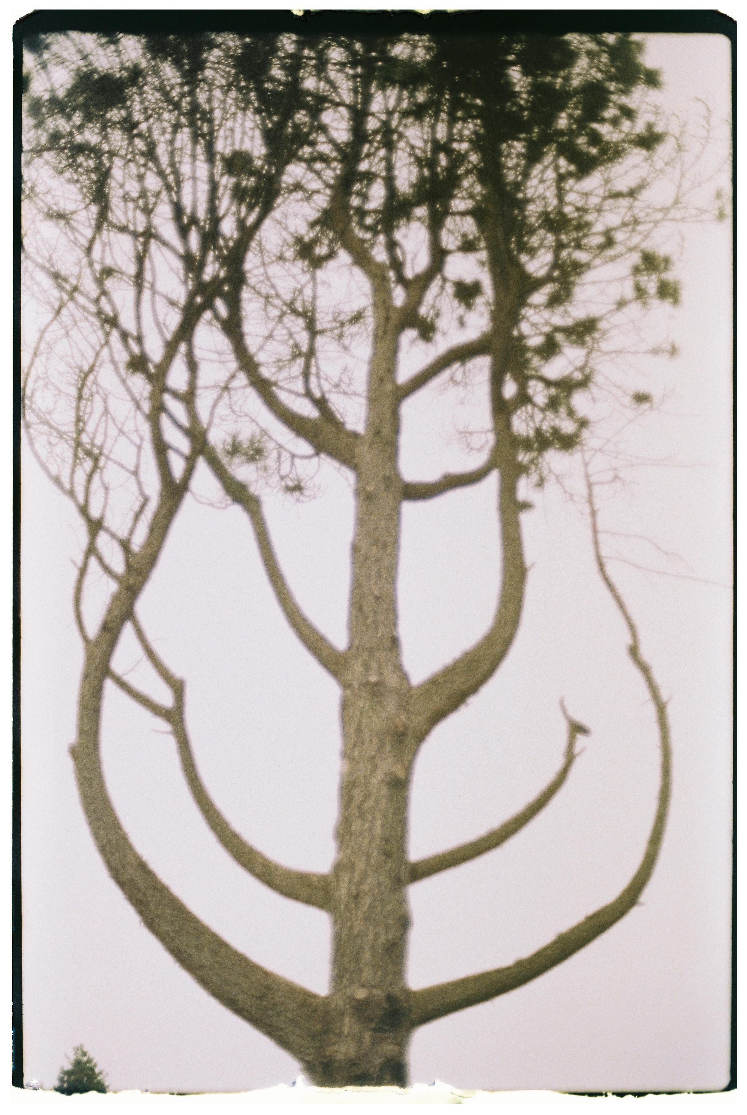 Dream chronicle. Part I. Pictorial dream — fine art fil photography by Yaroslav Pavlov