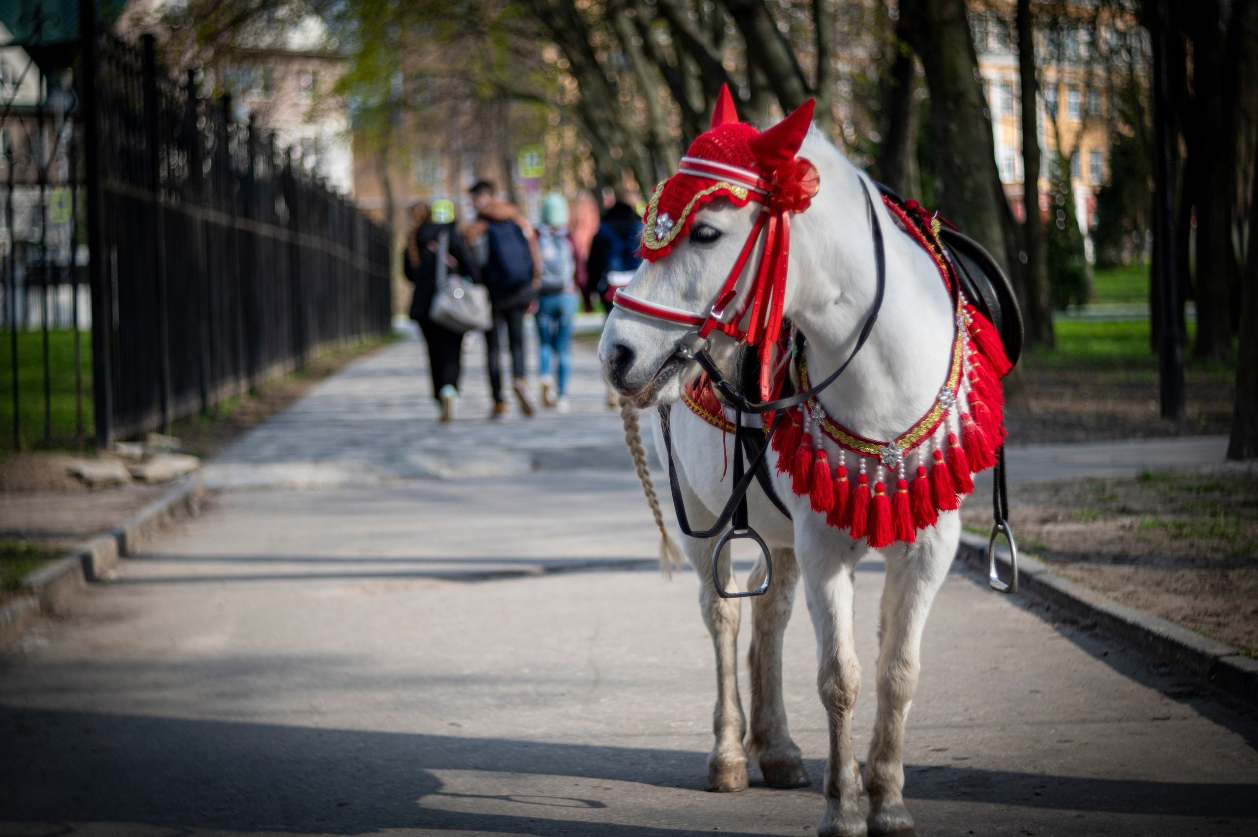 Рязань. Май 2022. Фотограф Роман Адлер