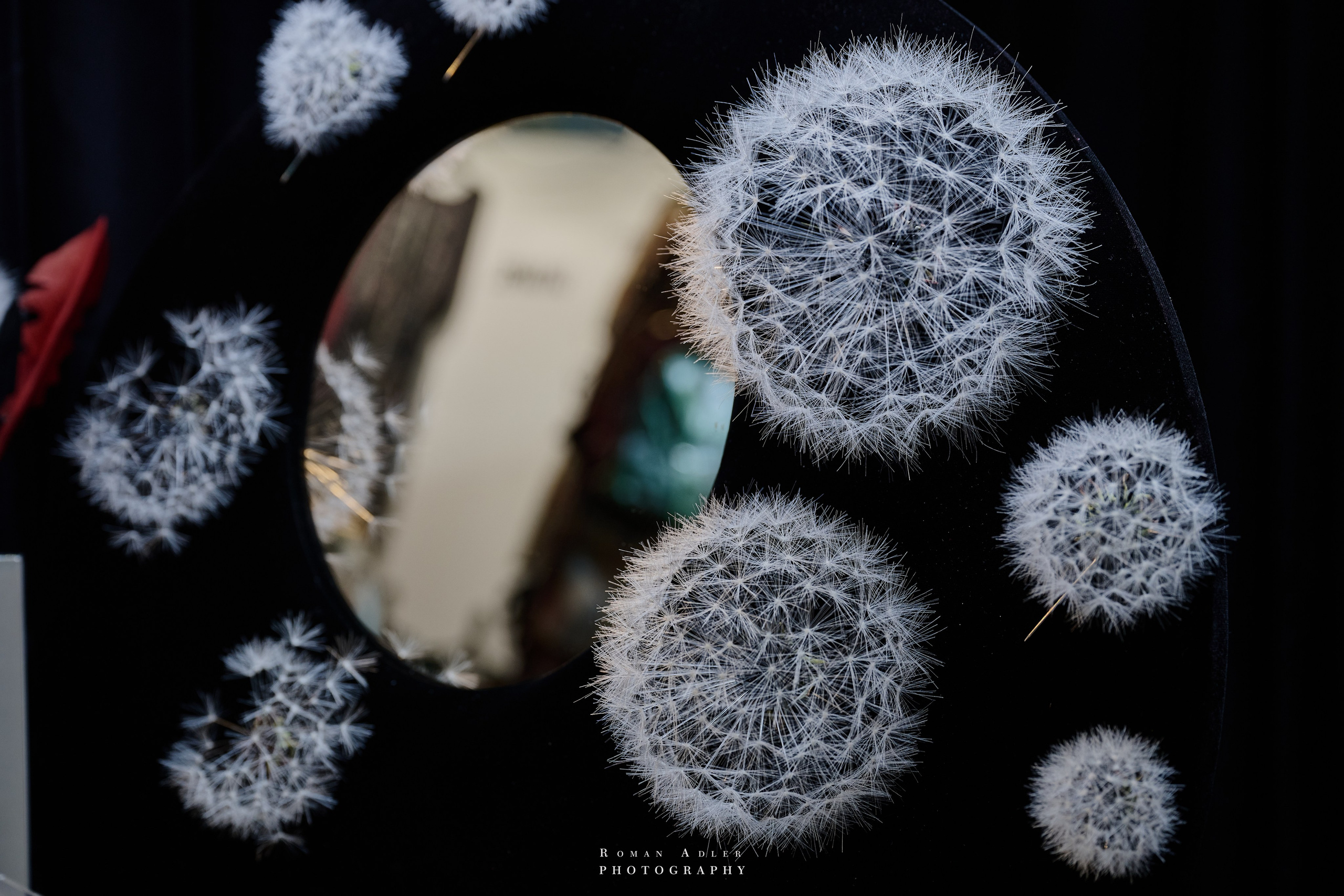 Открытие Форума Уникальная Россия. Фотограф Роман Адлер