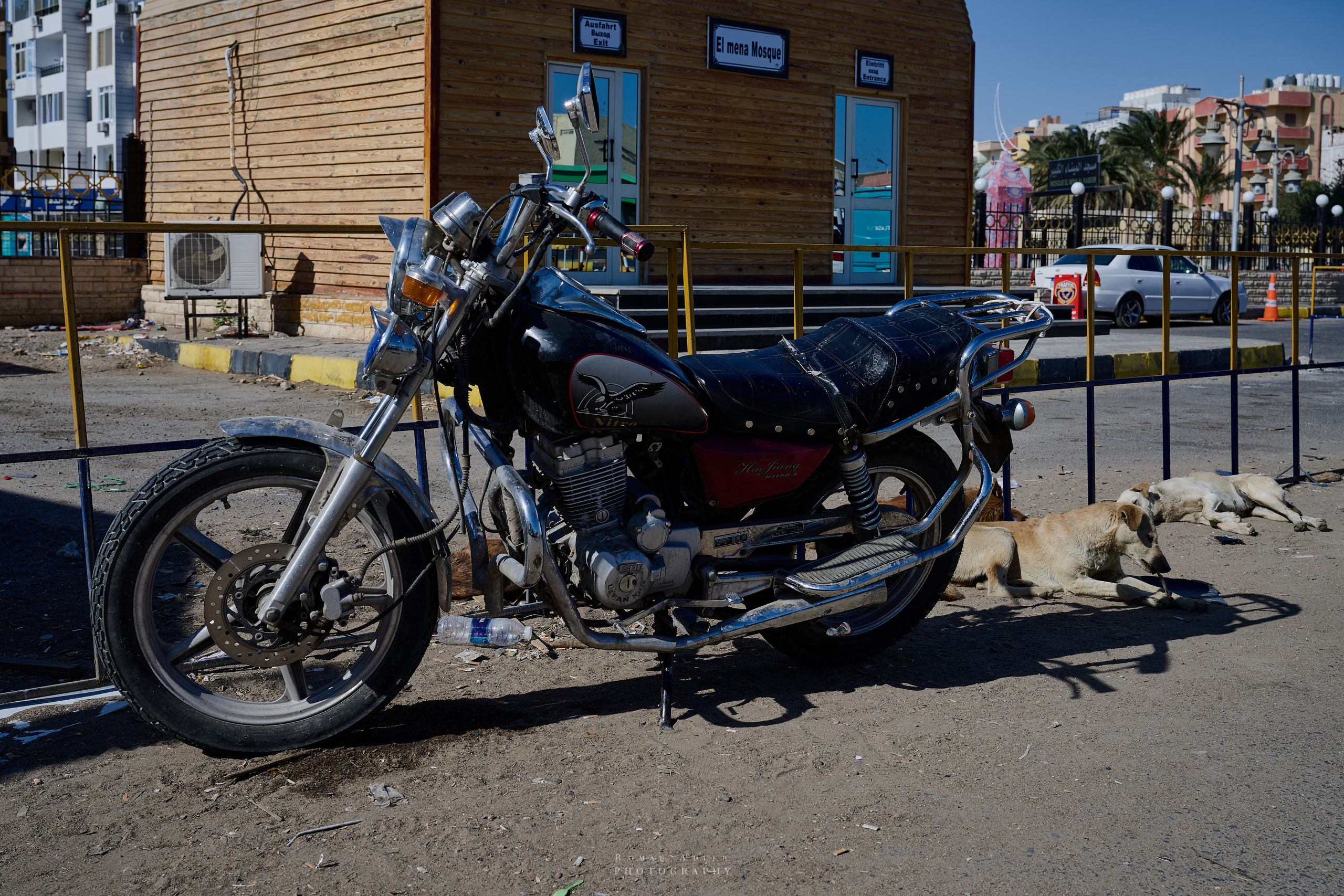 Хургада. Февраль 2025. Фотограф Роман Адлер