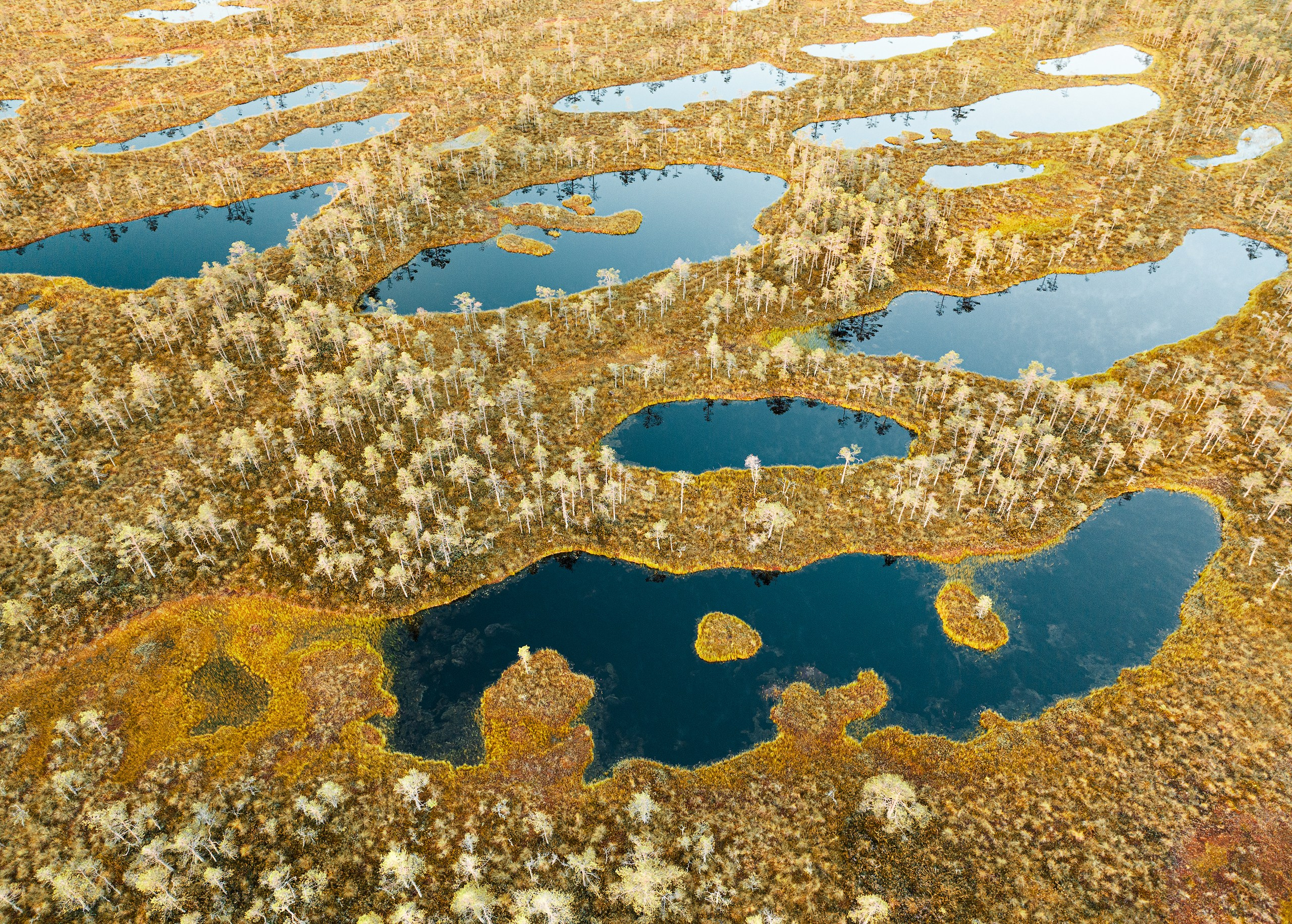 Карельский Перешеек. Фотограф Владимир Медведев
