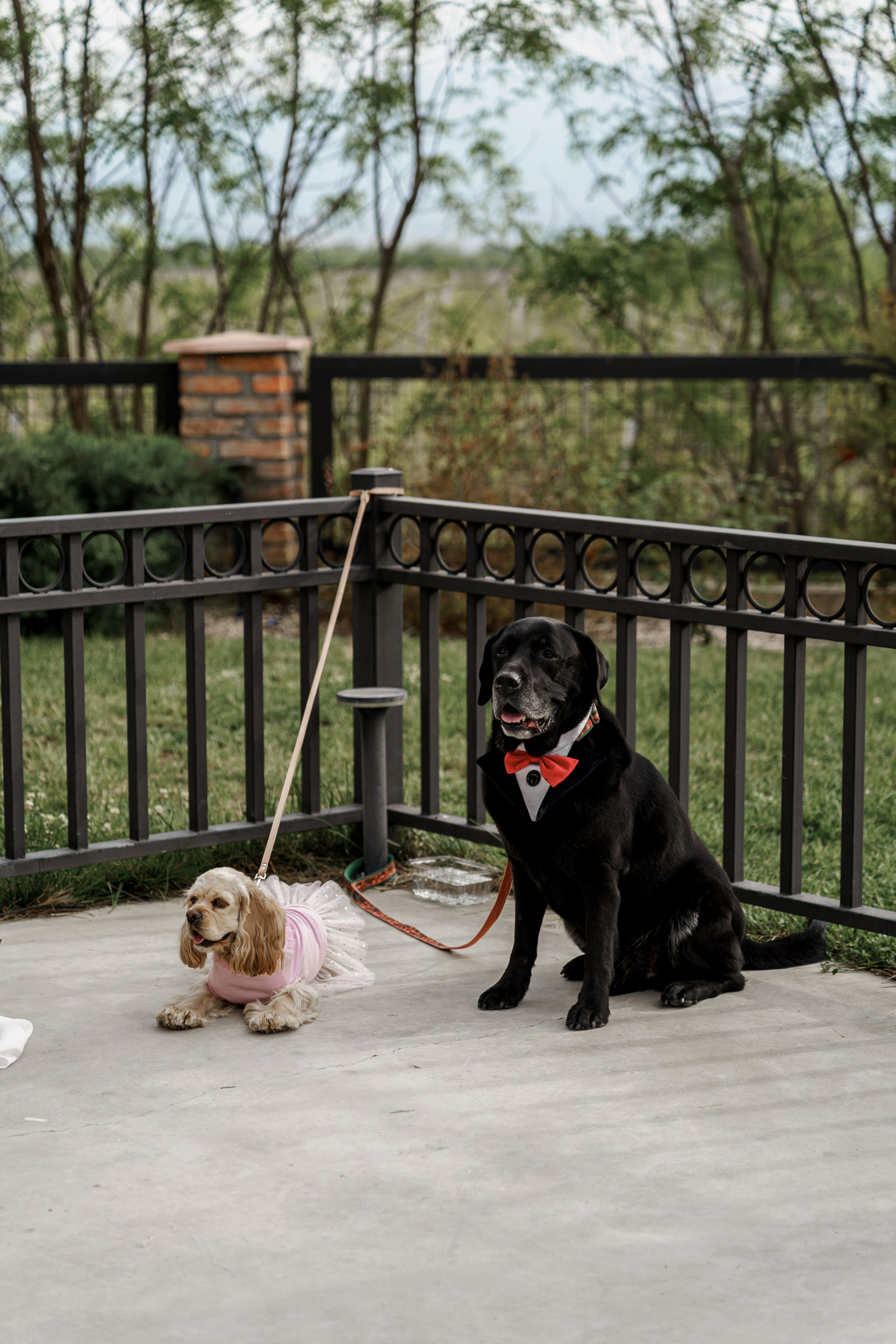 Кахетия: Семён и Лейла. Свадебный и индивидуальный фотограф Татьяна Гуляева