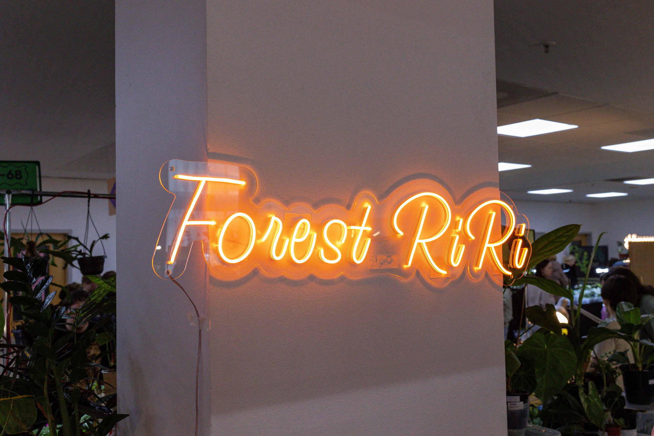 Монстериум апрель 2025. Александра Куликова фотограф, Москва