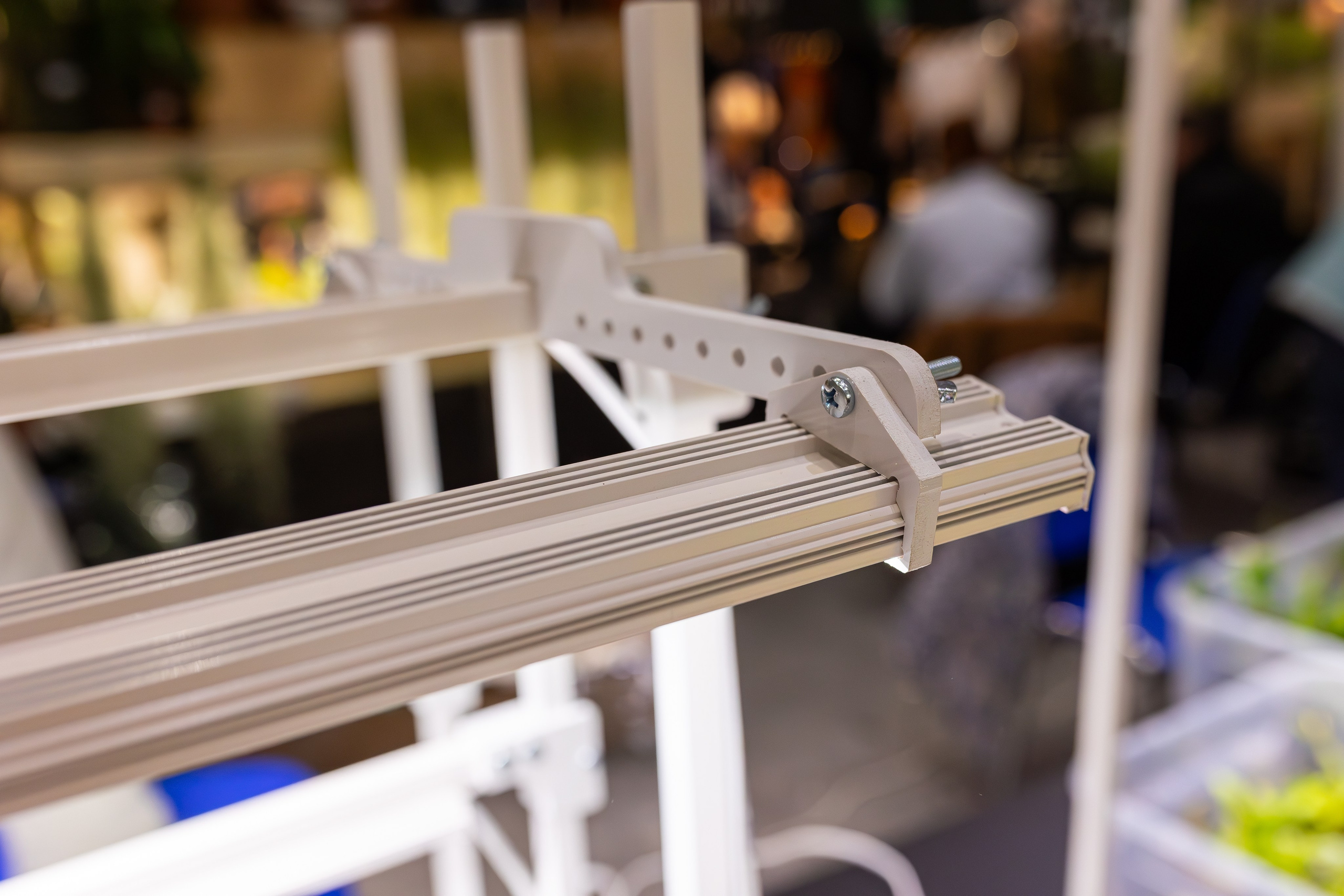 Монстериум 11–12 октября. Александра Куликова фотограф, Москва