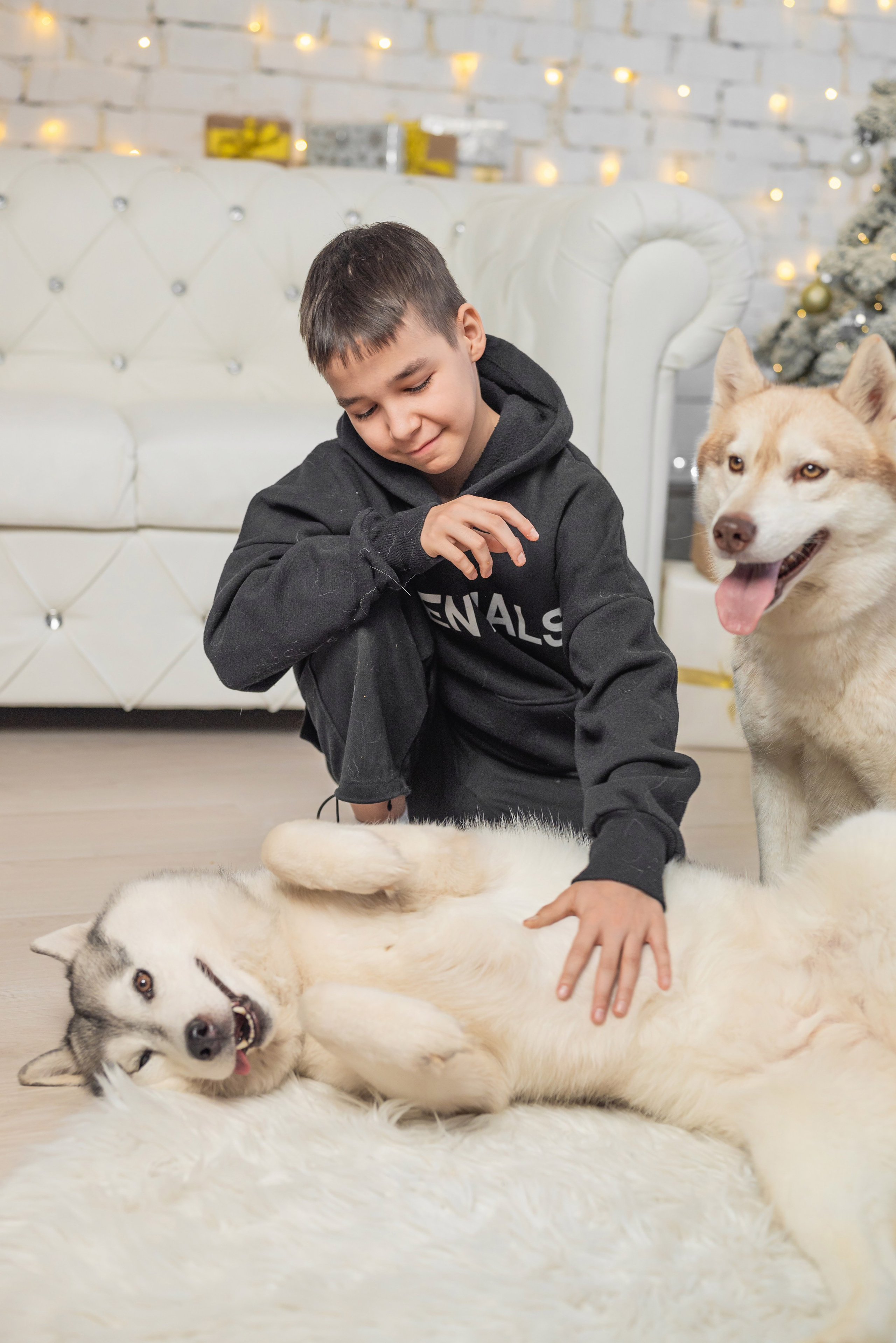 Фотопроект с хаски. Фотограф в городе Салават