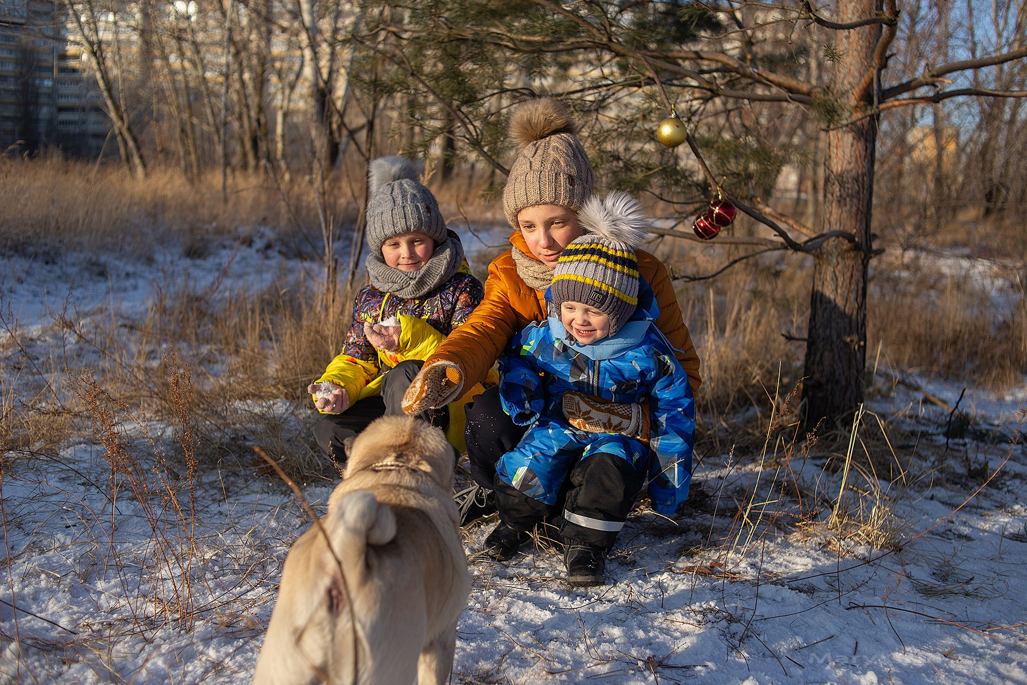 Зимняя фотопрогулка на мещерском озере с мандаринами. Детский и семейный фотограф, фотограф мероприятий Нижний Новгород