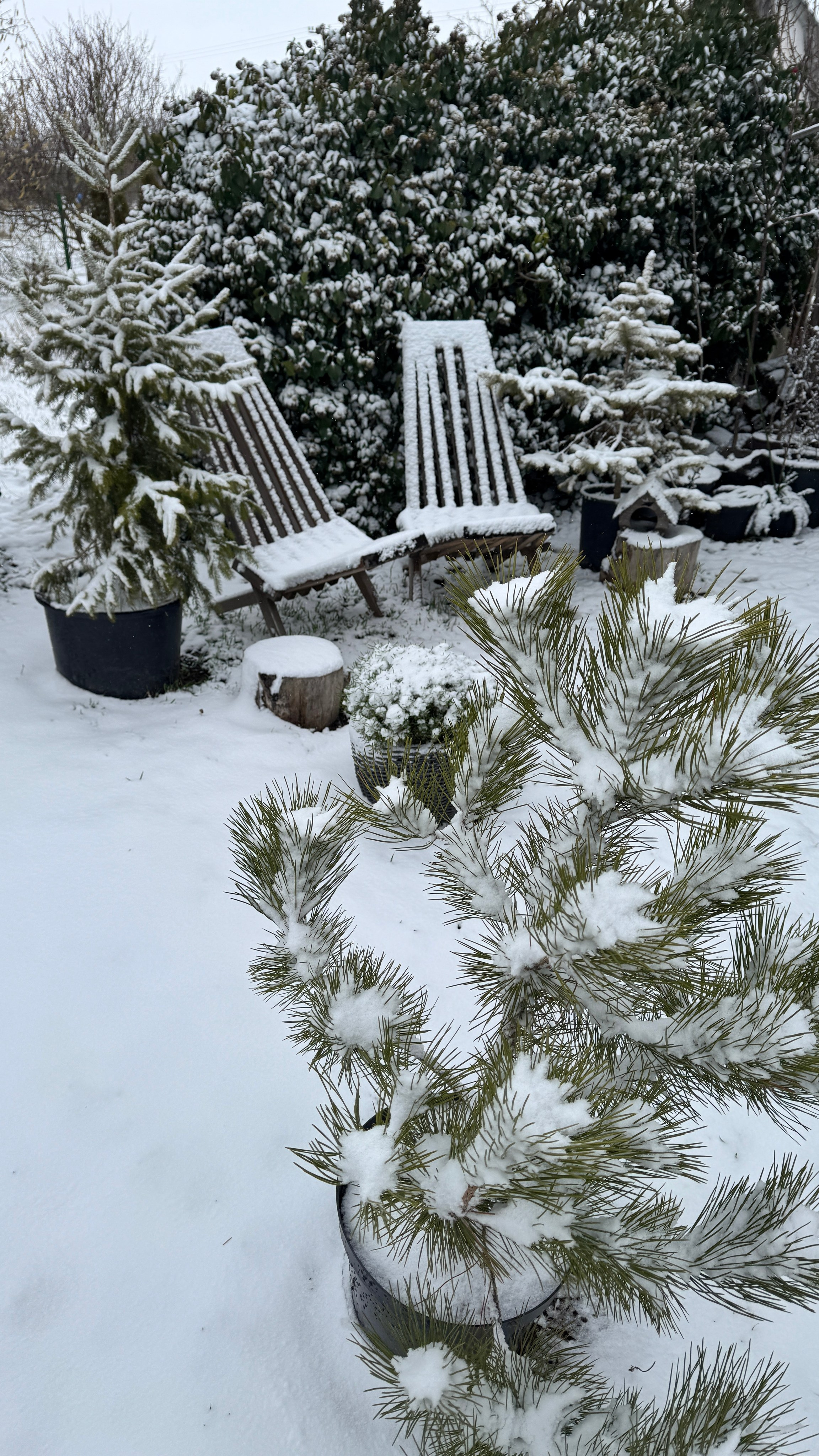 Зима. Фотостудия Натальи Забродской
