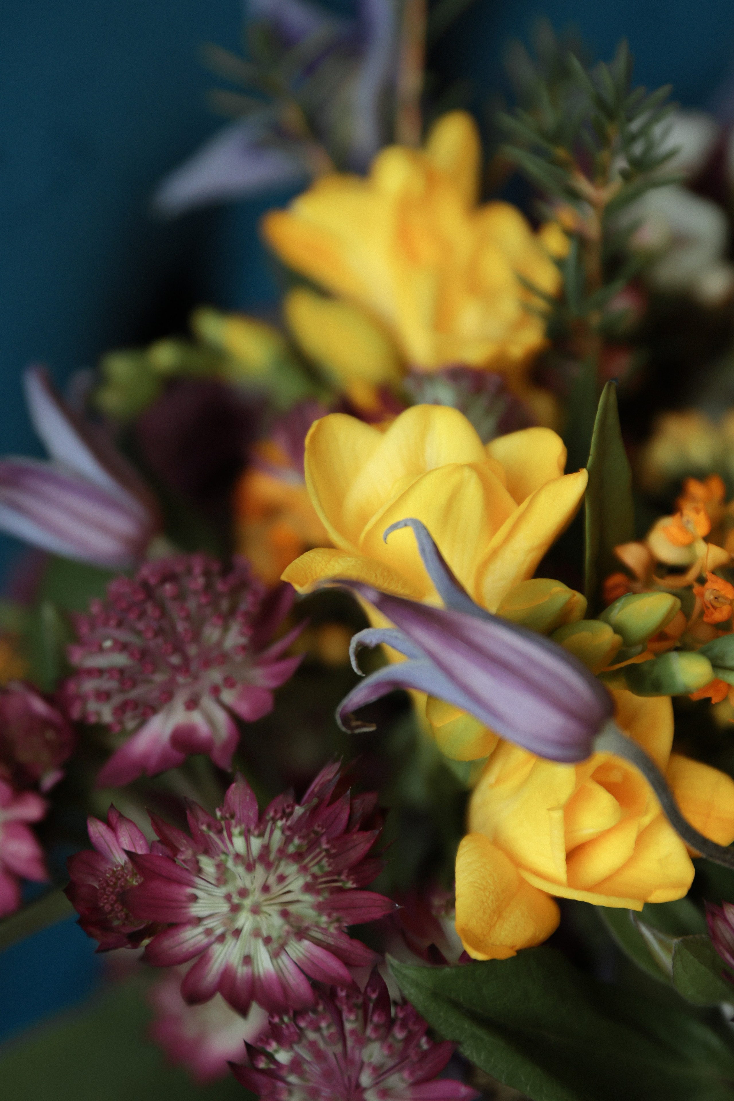 Фото: Аня Романова