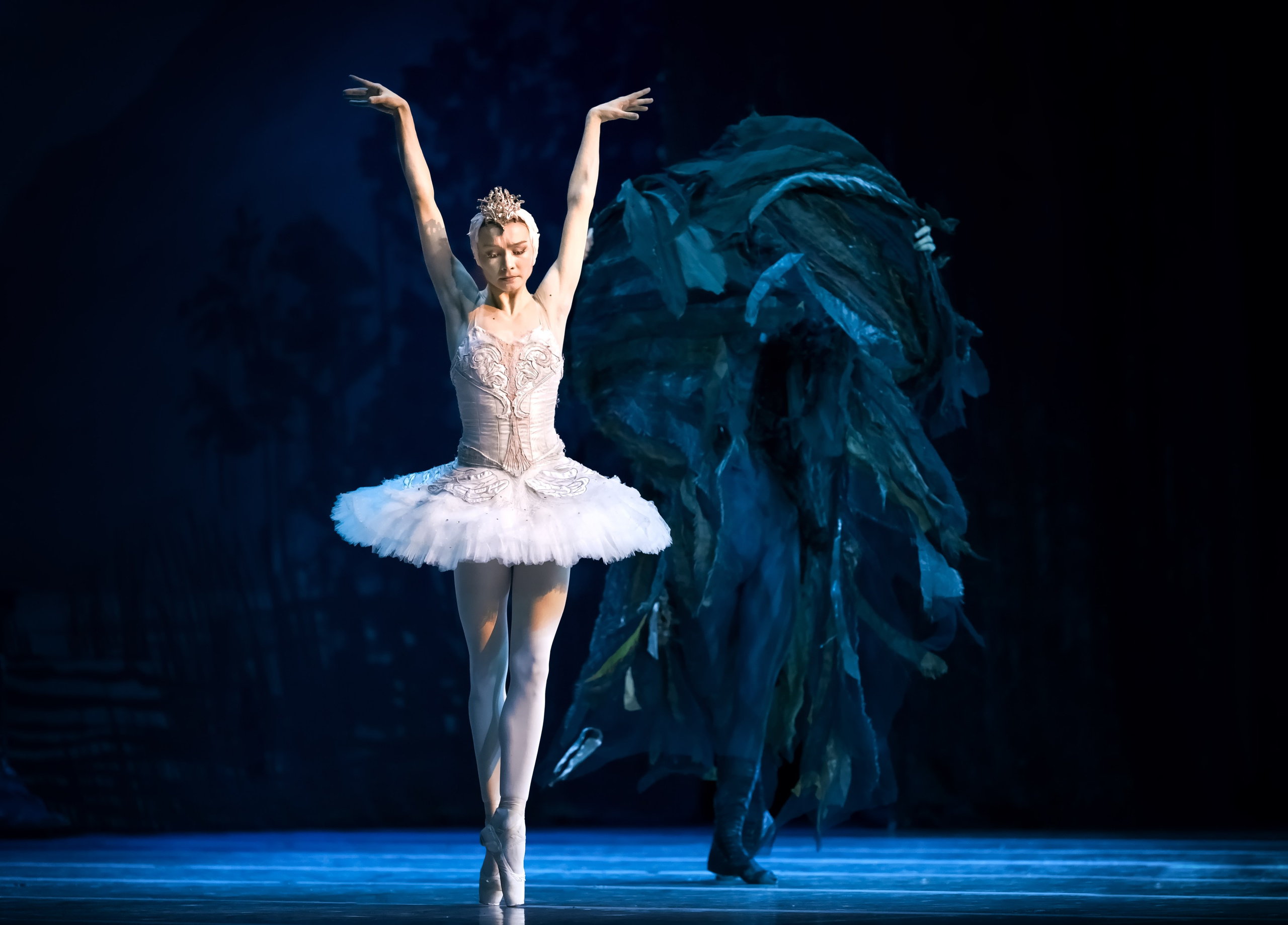 Лебединое озеро. Балет Наталии Касаткиной и Владимира Василёва. Балетный фотограф Москва Майоров Николай