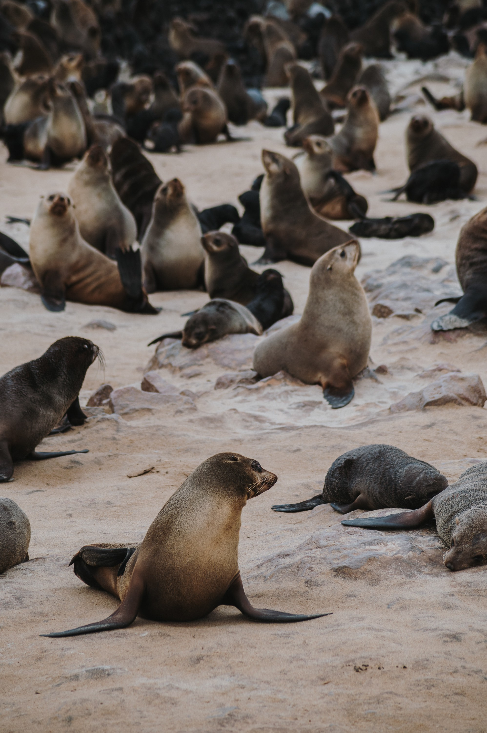 НАМИБИЯ. Роадтрип