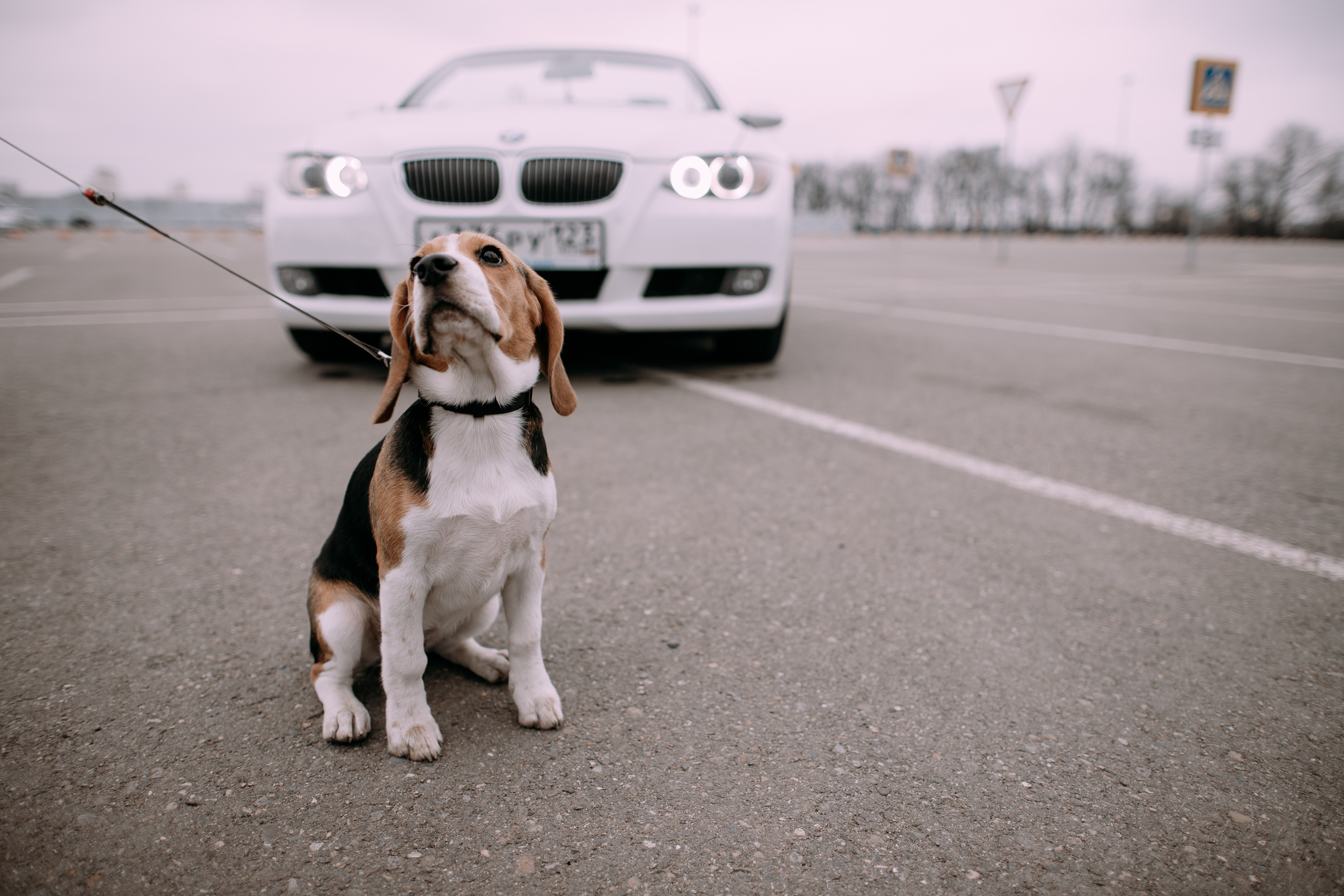 Яна&Игорь. Фотограф в Санкт Петербурге и Москве Анастасия Сиволод