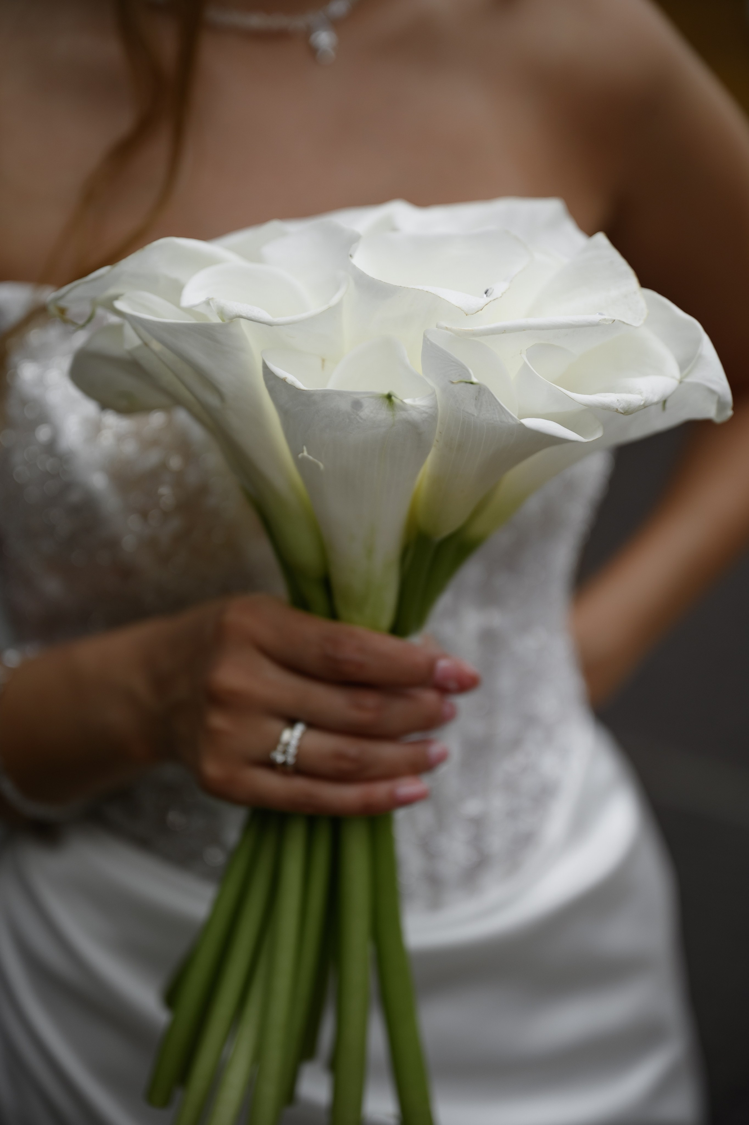 15.06.2024. RETOUCH-HOUSE