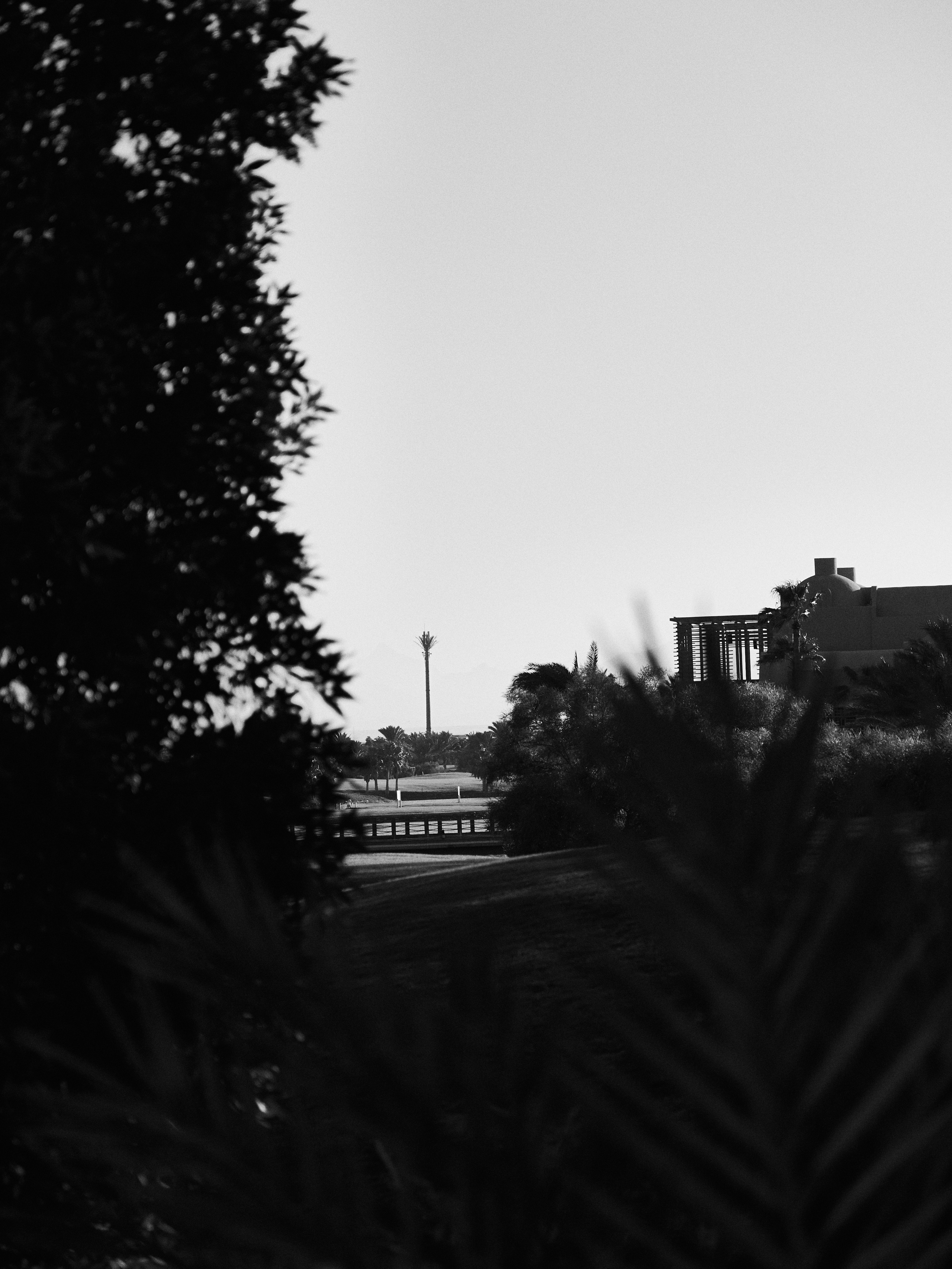 Другое 3. Jorgis — фотограф в Хургаде / обучение фотографии