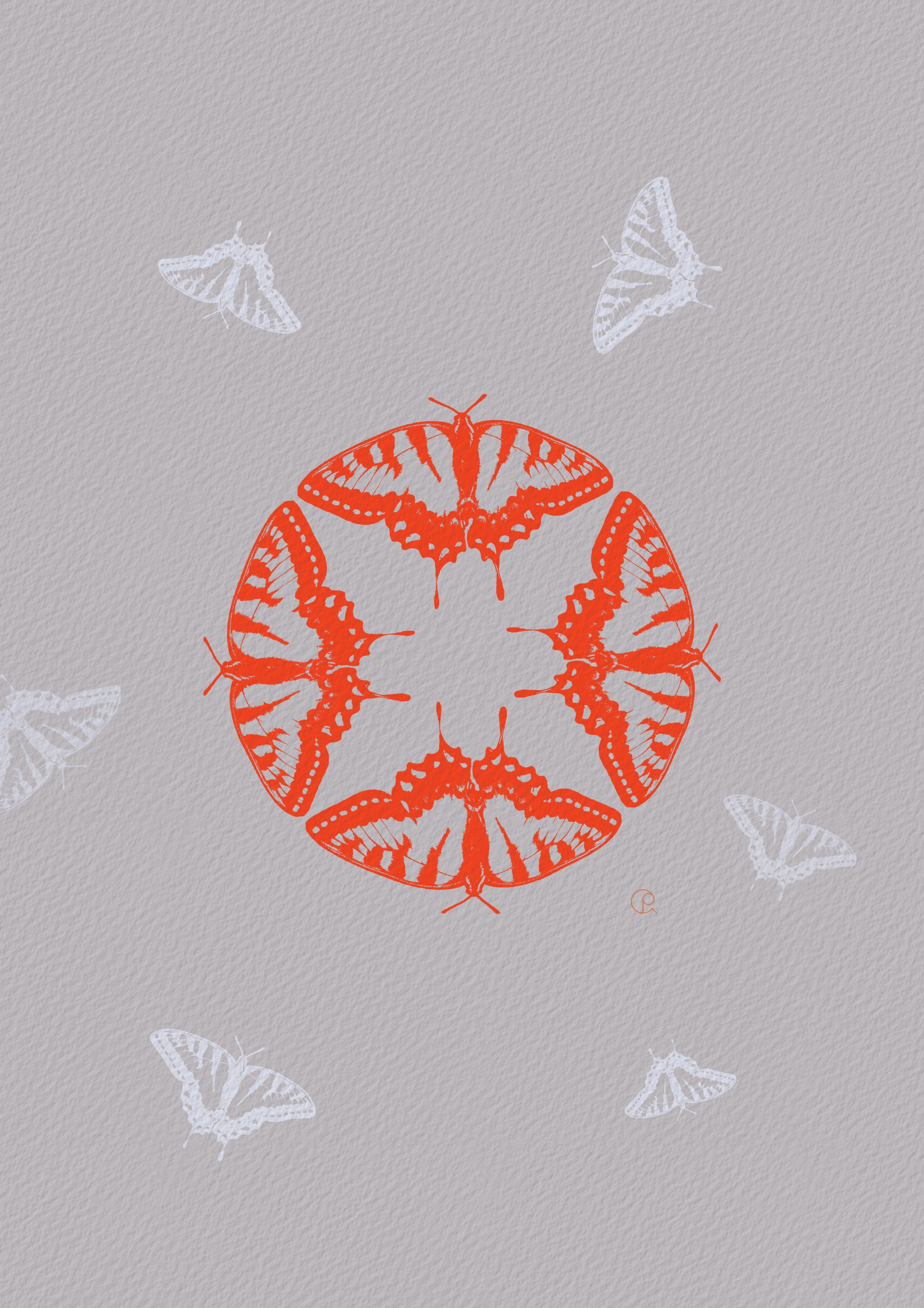 Разное. Алена Русских — фотограф и графический дизайнер в Ростове-на-дону