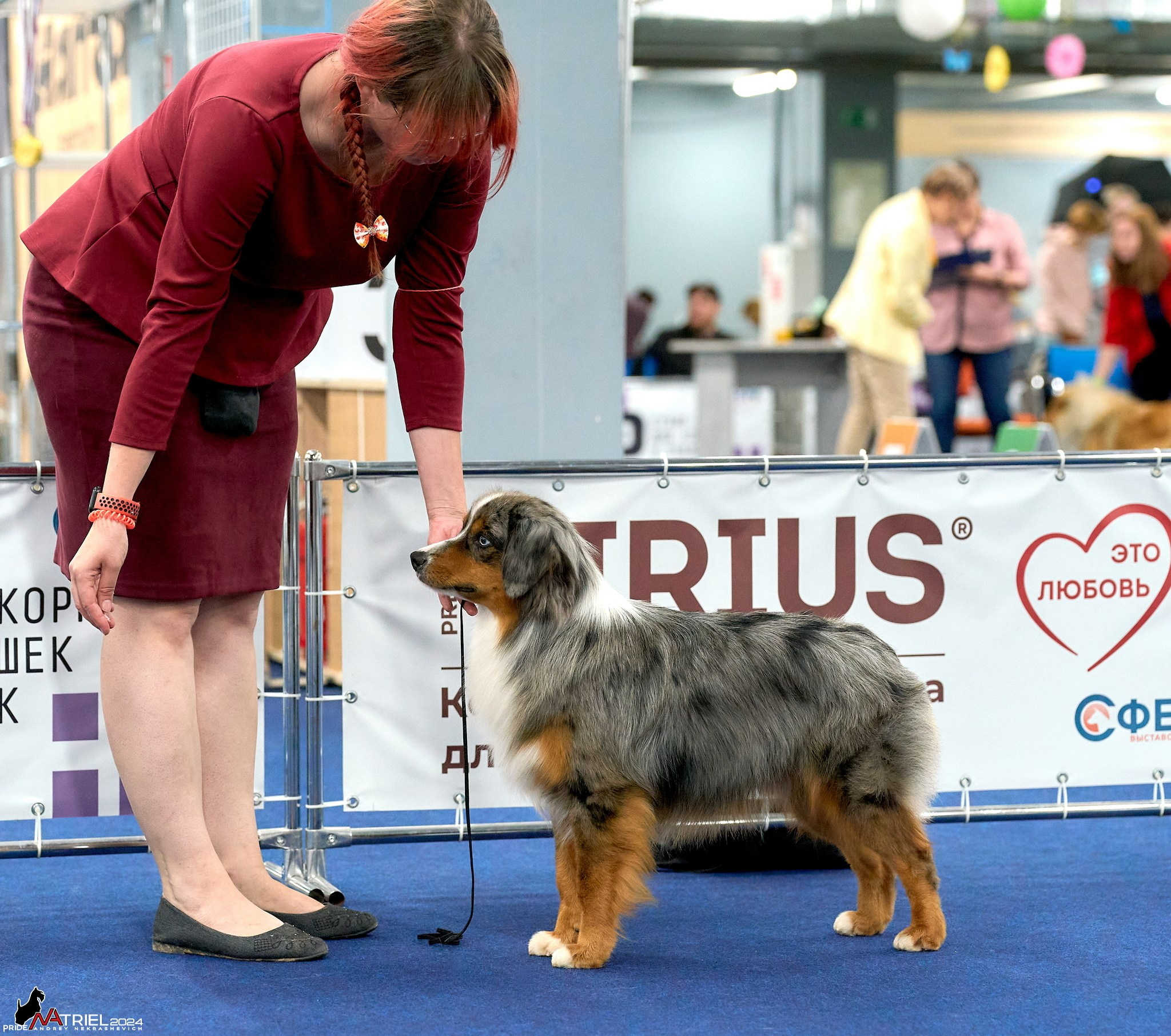 Съемка на выставке в Сфере