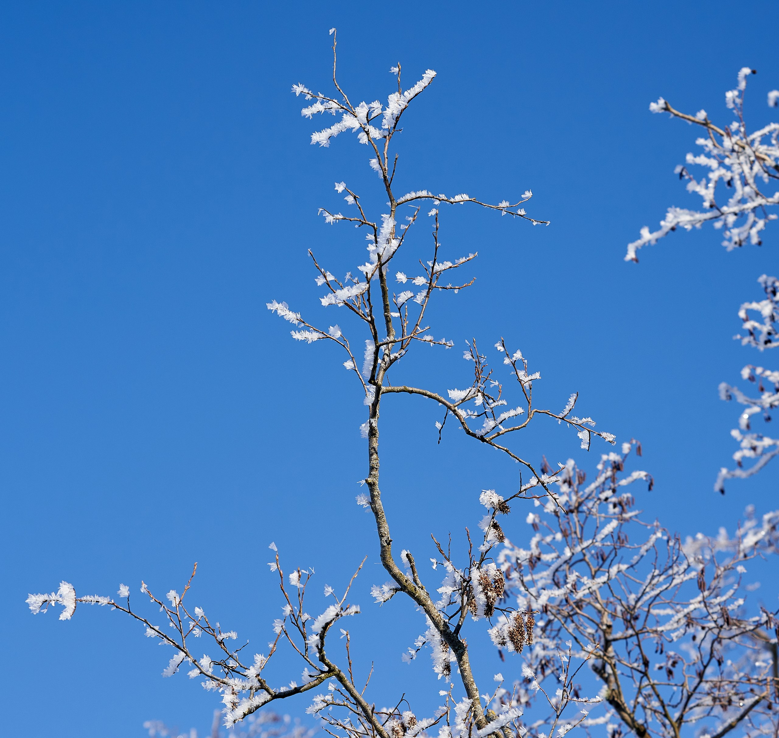 Пейзаж — галерея NATRIEL