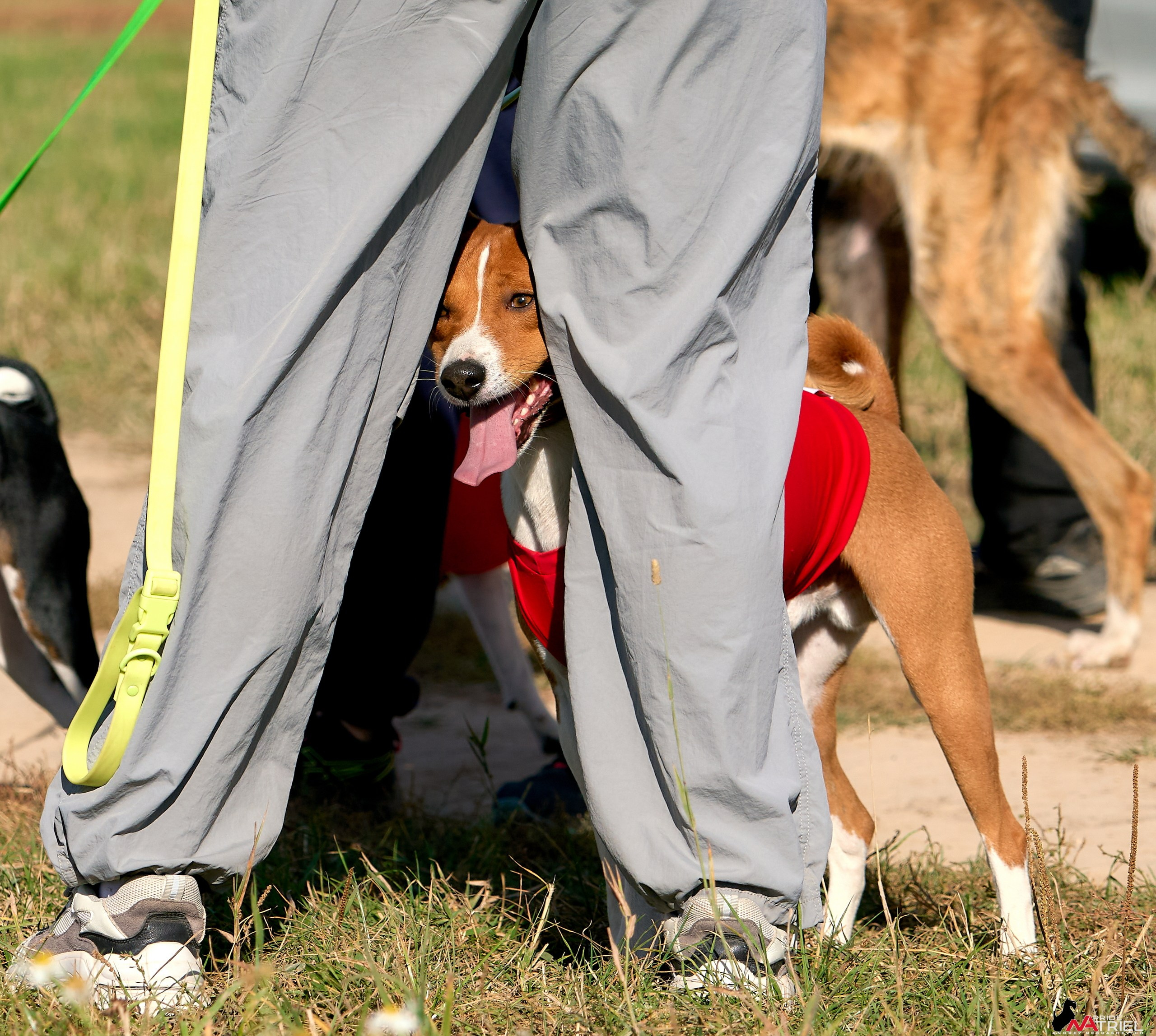 Съемка курсинг — галерея NATRIEL