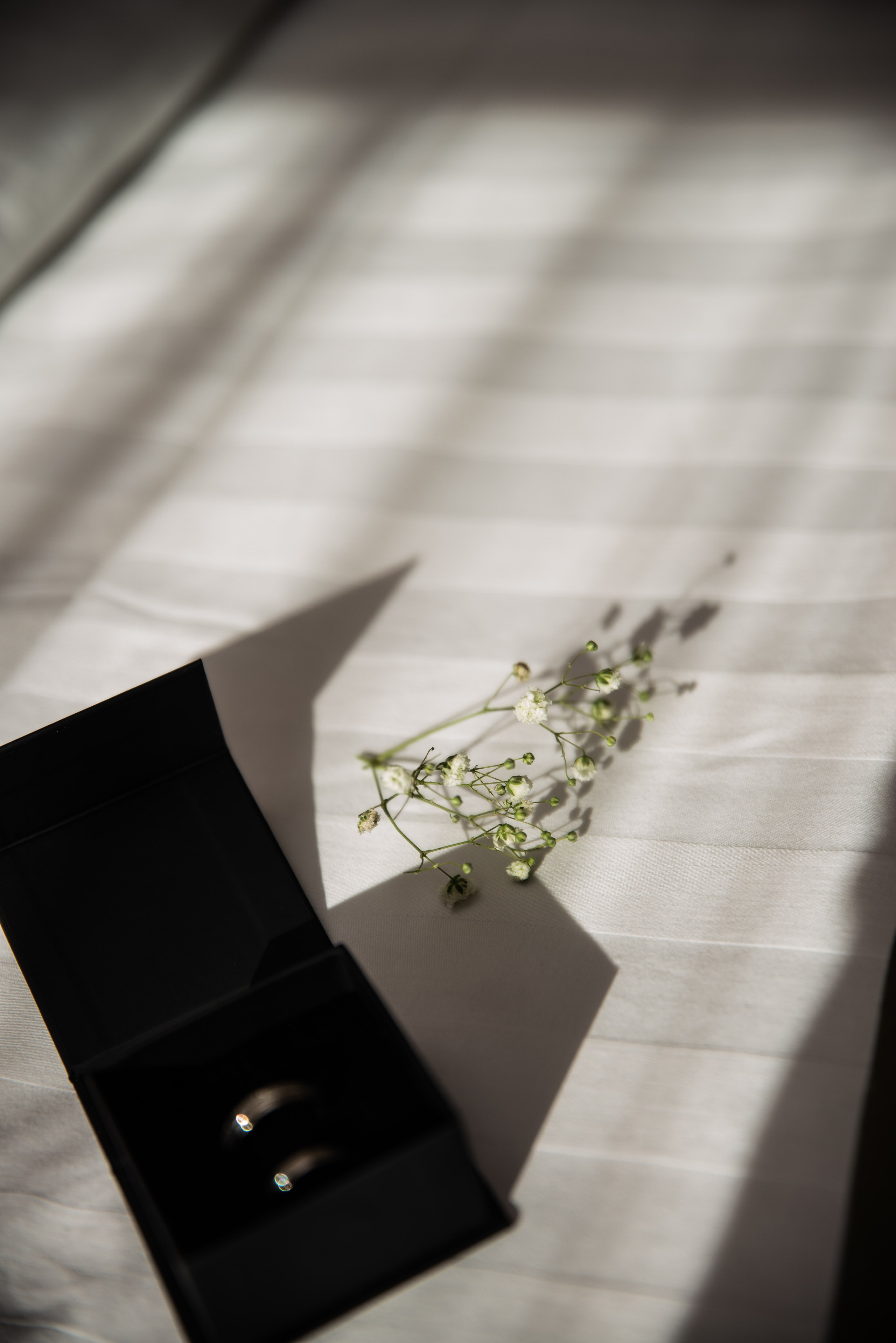 Валерия и Игорь. Артём Самойленко, фотограф в г. Волгоград