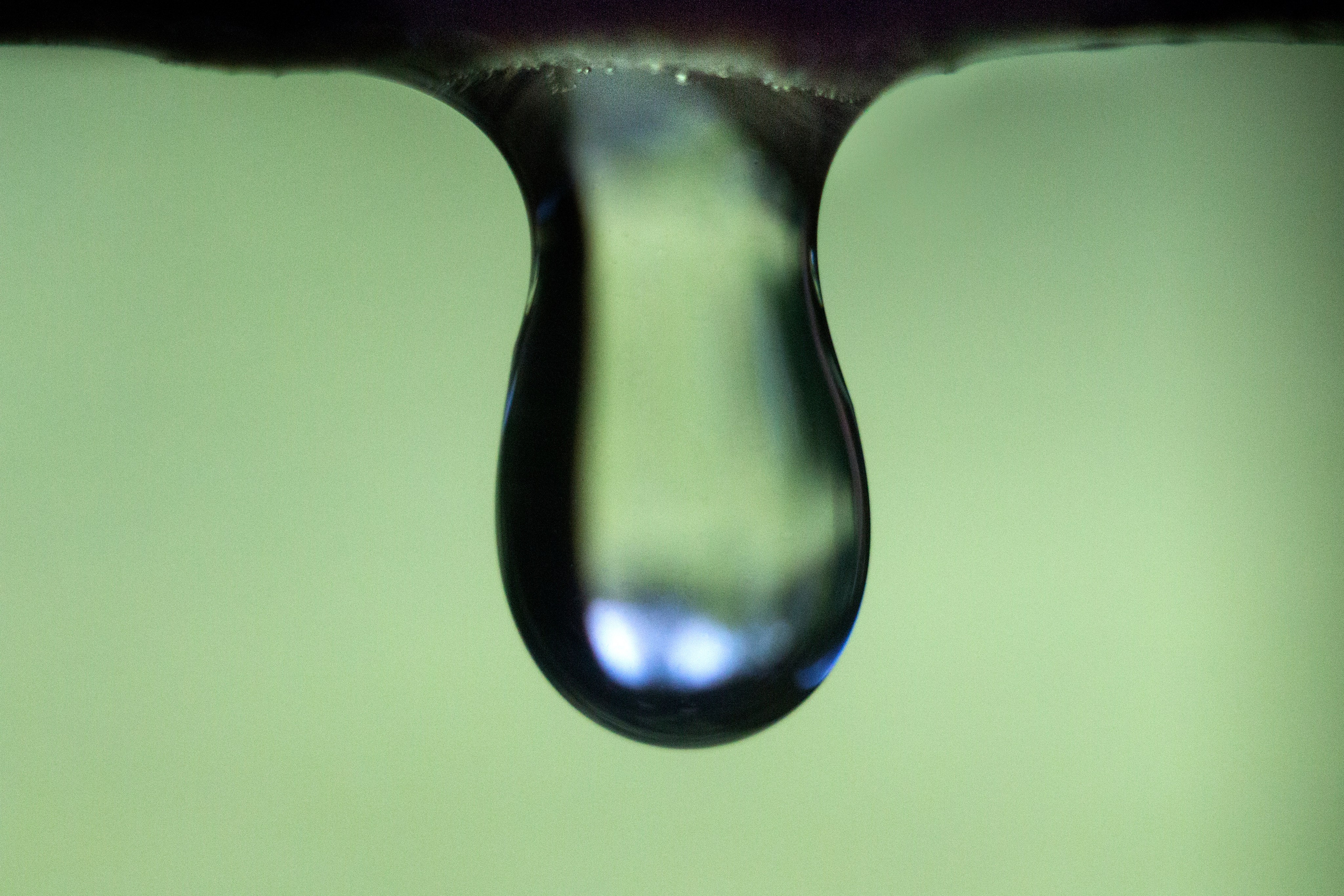 Макро. Фотограф Лагутин Анатолий