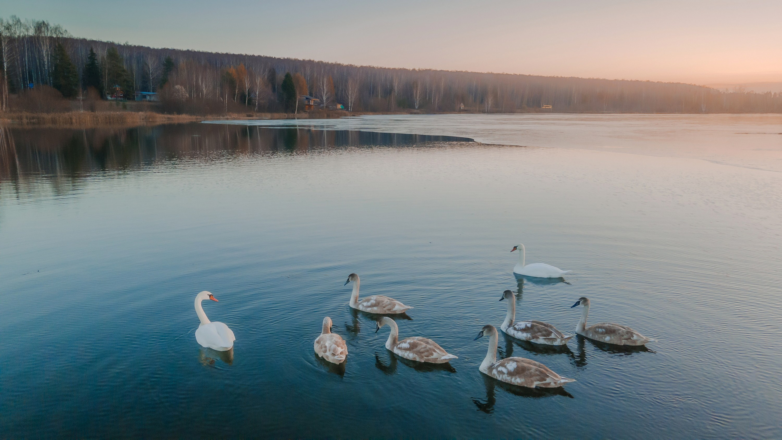 Квадрокоптер. Фотограф для бизнеса Сергей Чирков. Город Ижевск, Удмуртия
