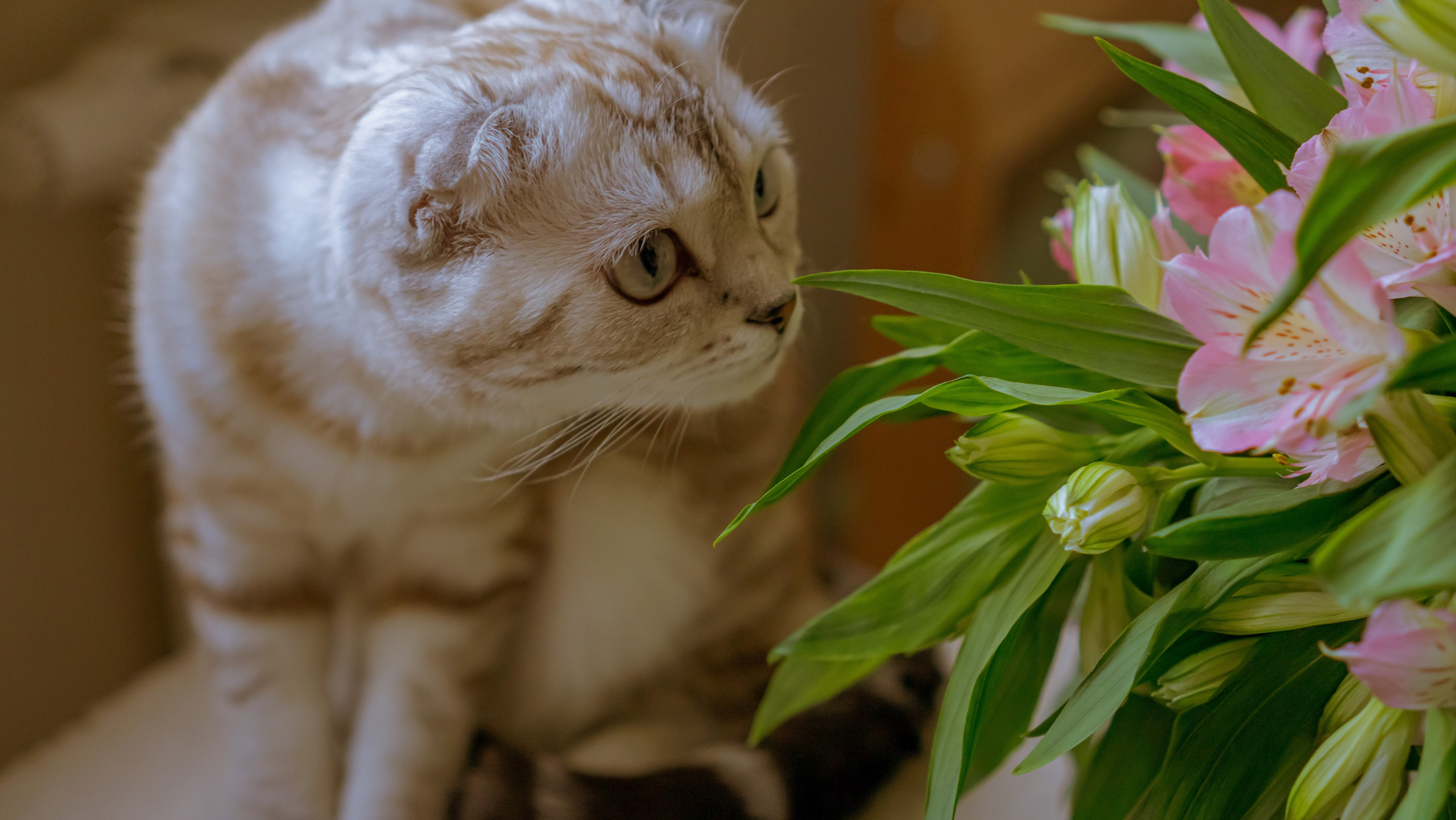 Ария. Фотограф в Кстово и Нижнем Новгороде KOLOSOK