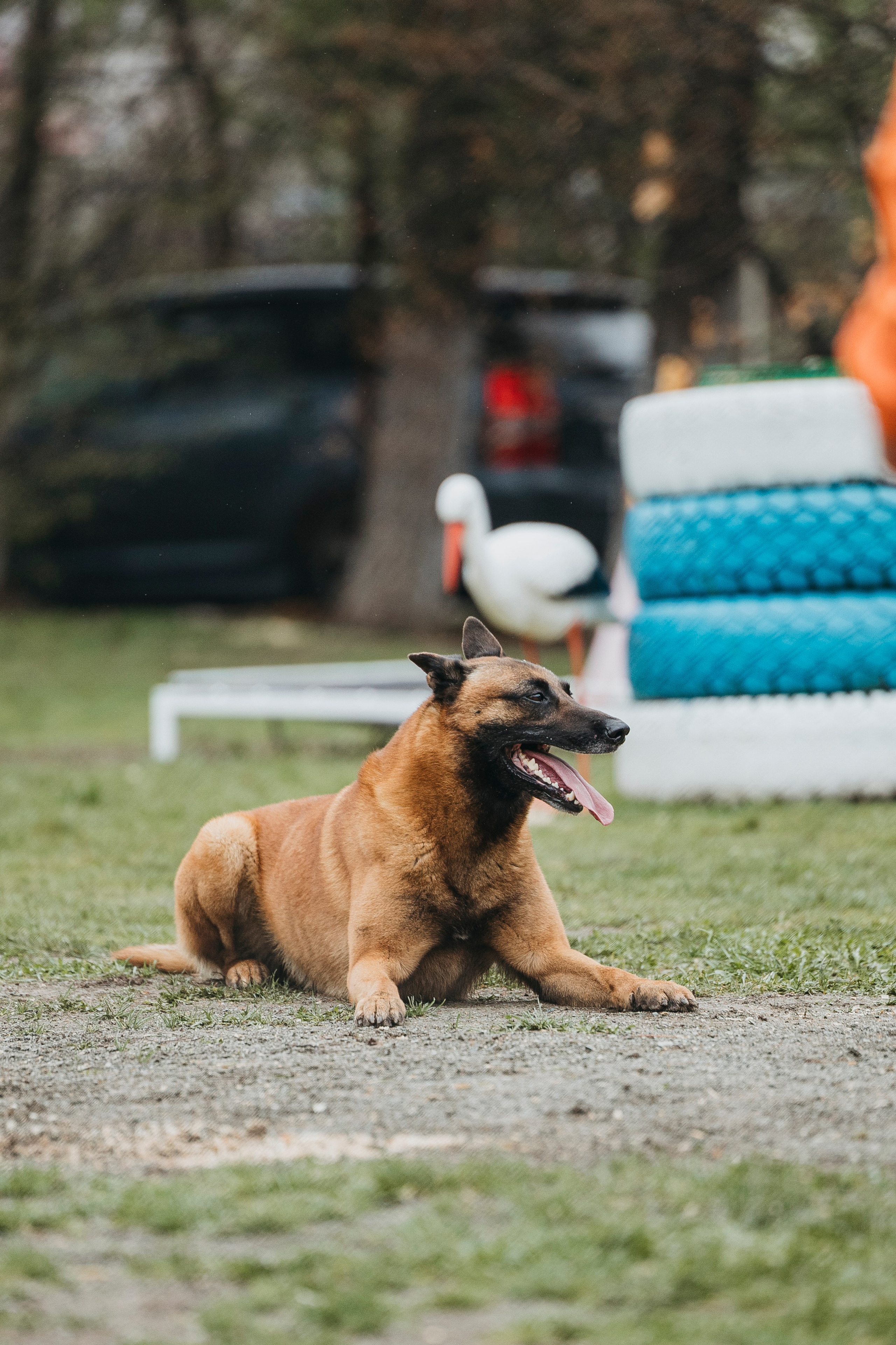 Геленджик Мондьоринг. Фотограф-анималист Анна Маринич