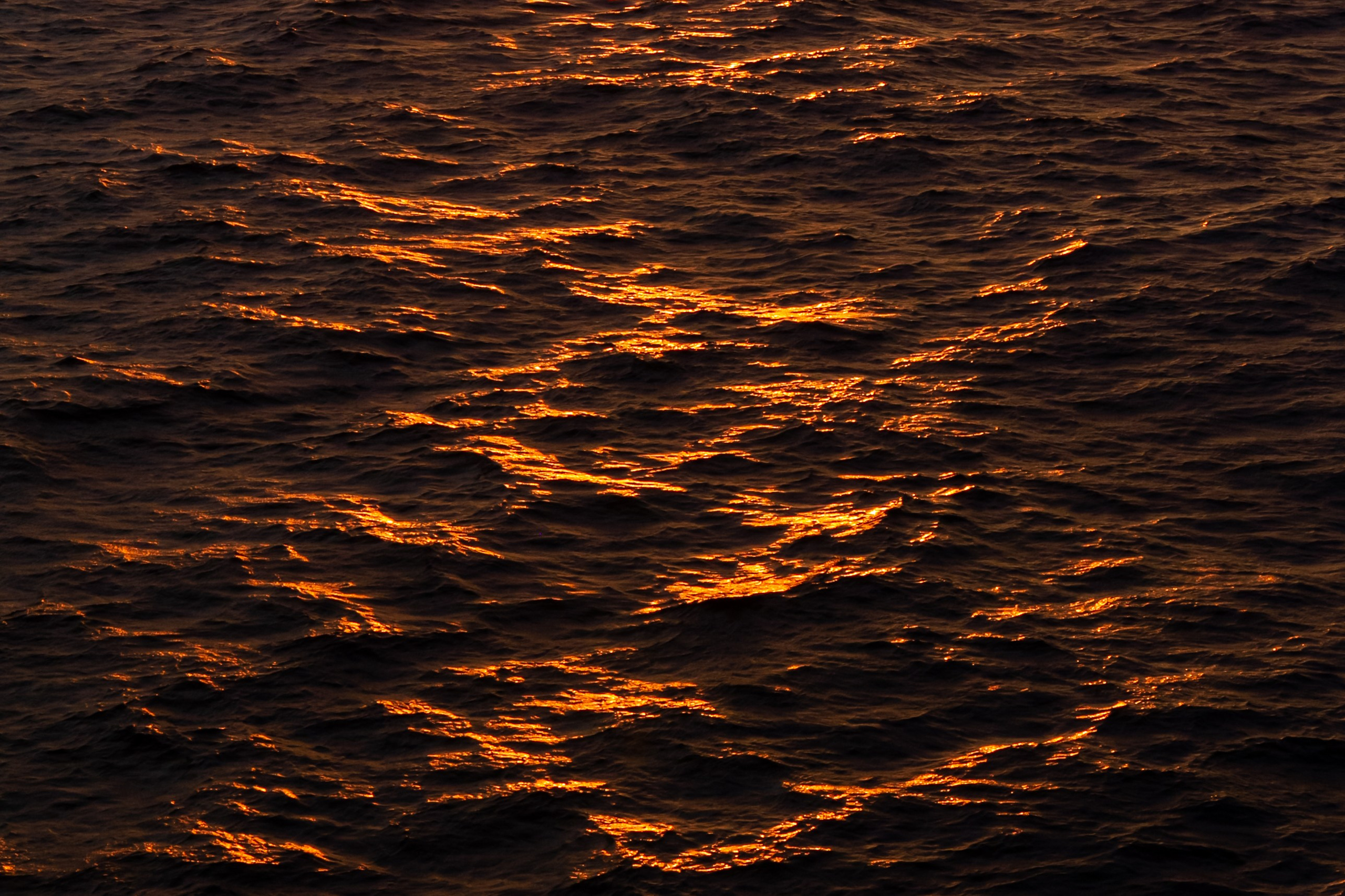 Профессиональный фотограф в Минске Валерий Невмержицкий