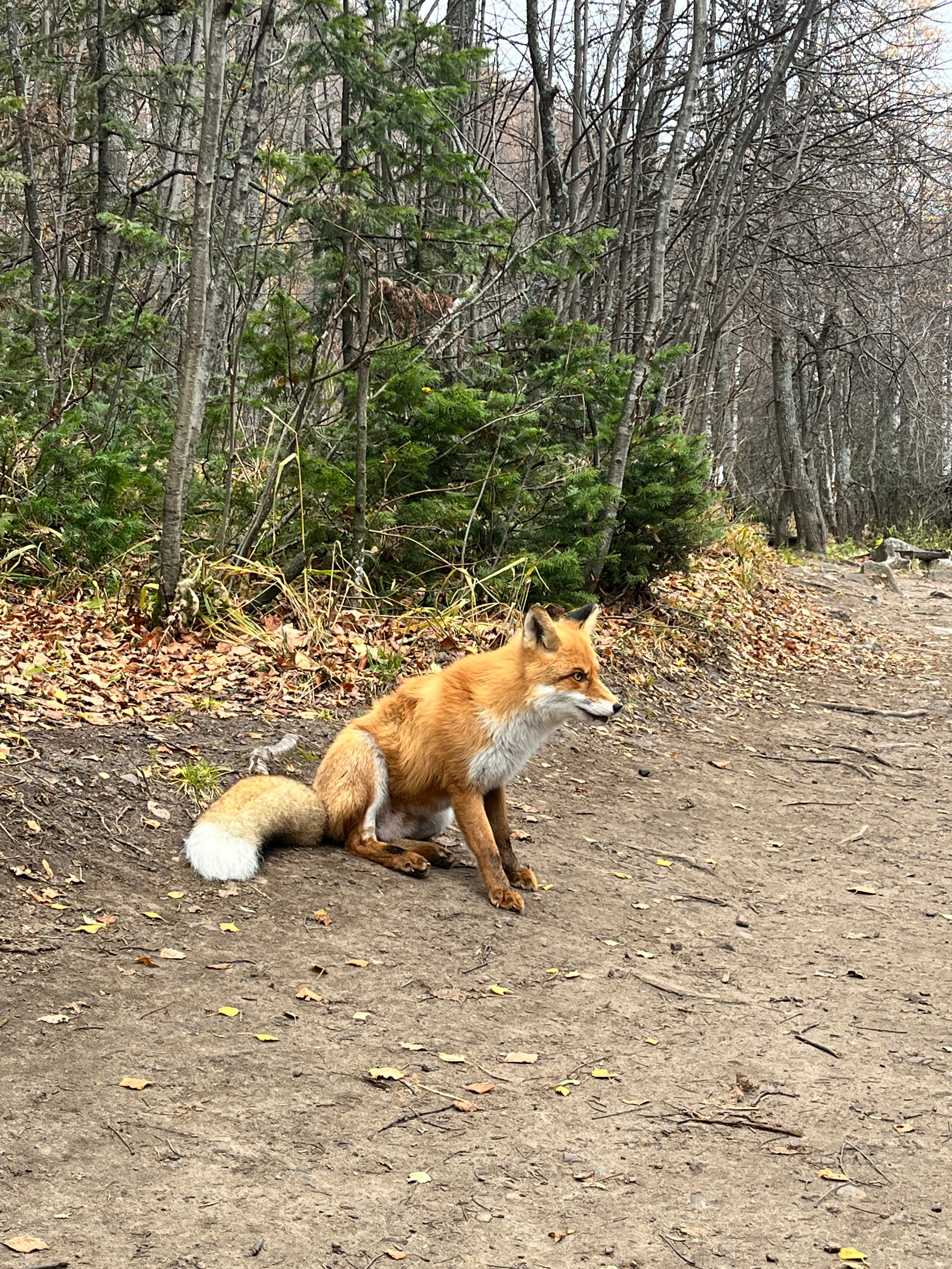 Фото с походов на Таганай — Время приключений