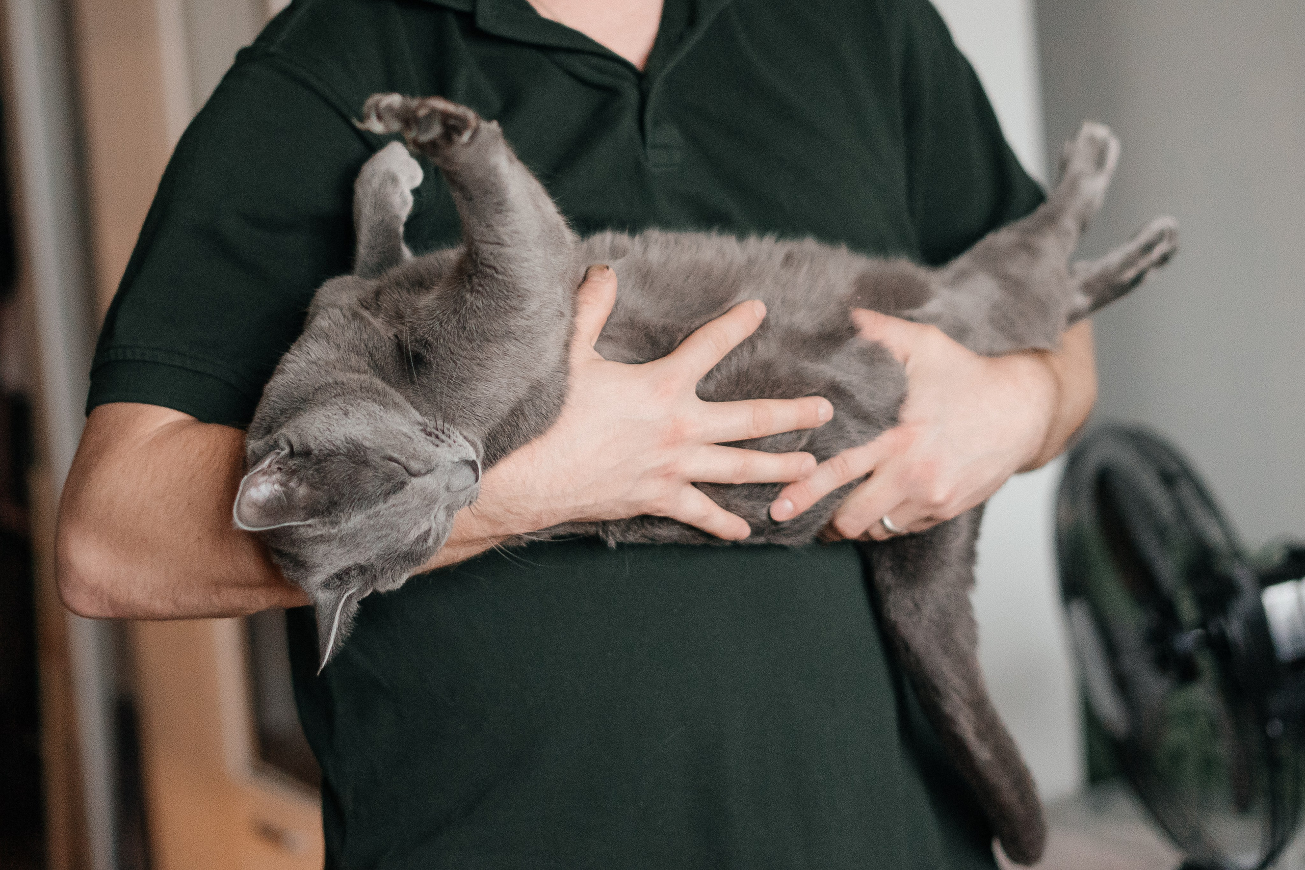 Котов не впускать. Портретный и семейный фотограф Ксения Казанцева