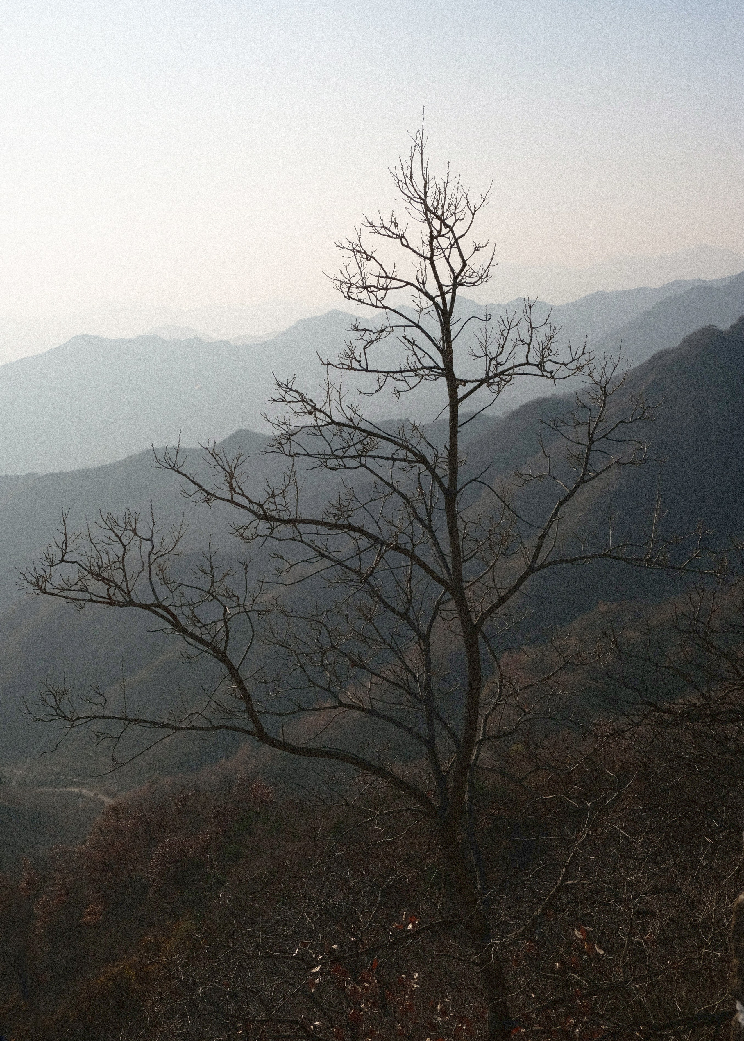 Beijing China. Интерьерный архитектурный фотограф | interior architectural photographer