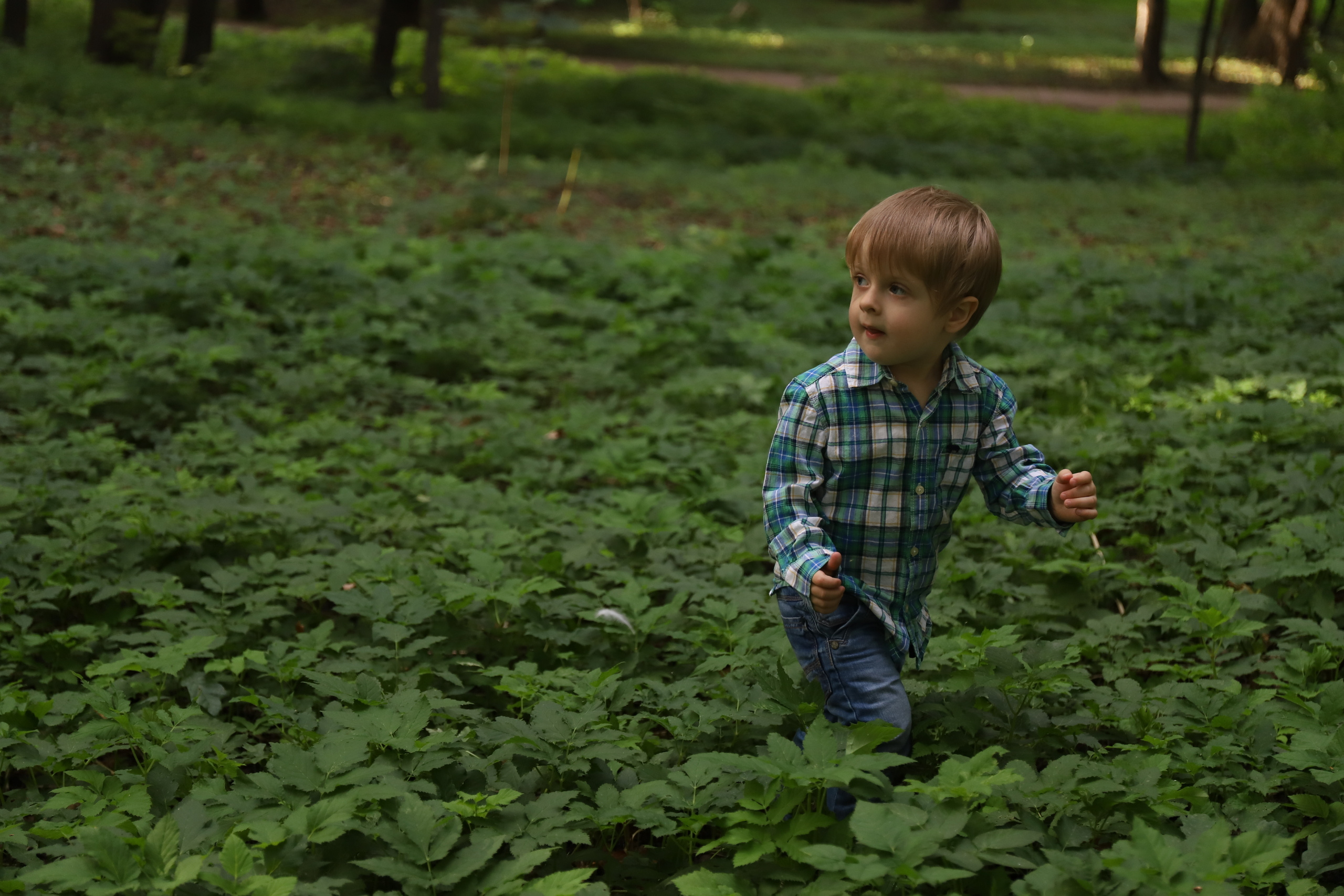 ГЛАВНАЯ. Фотограф в Санкт-Петербурге Наталья Брилькова
