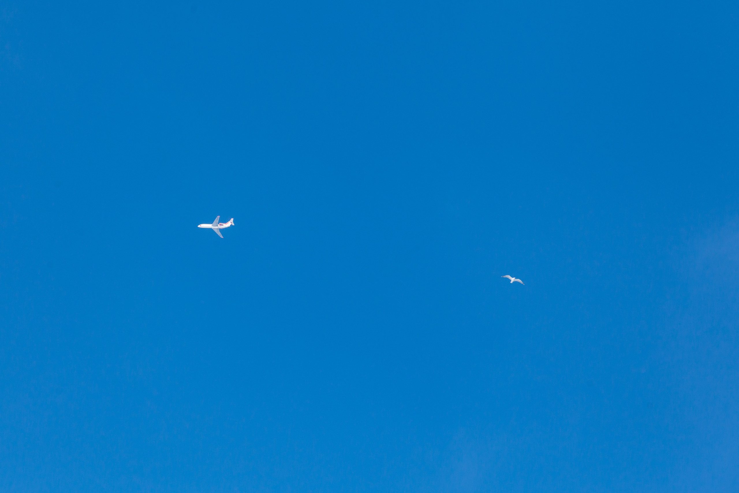 Стройки. Архитектурный и репортажный фотограф Александронок Алексей