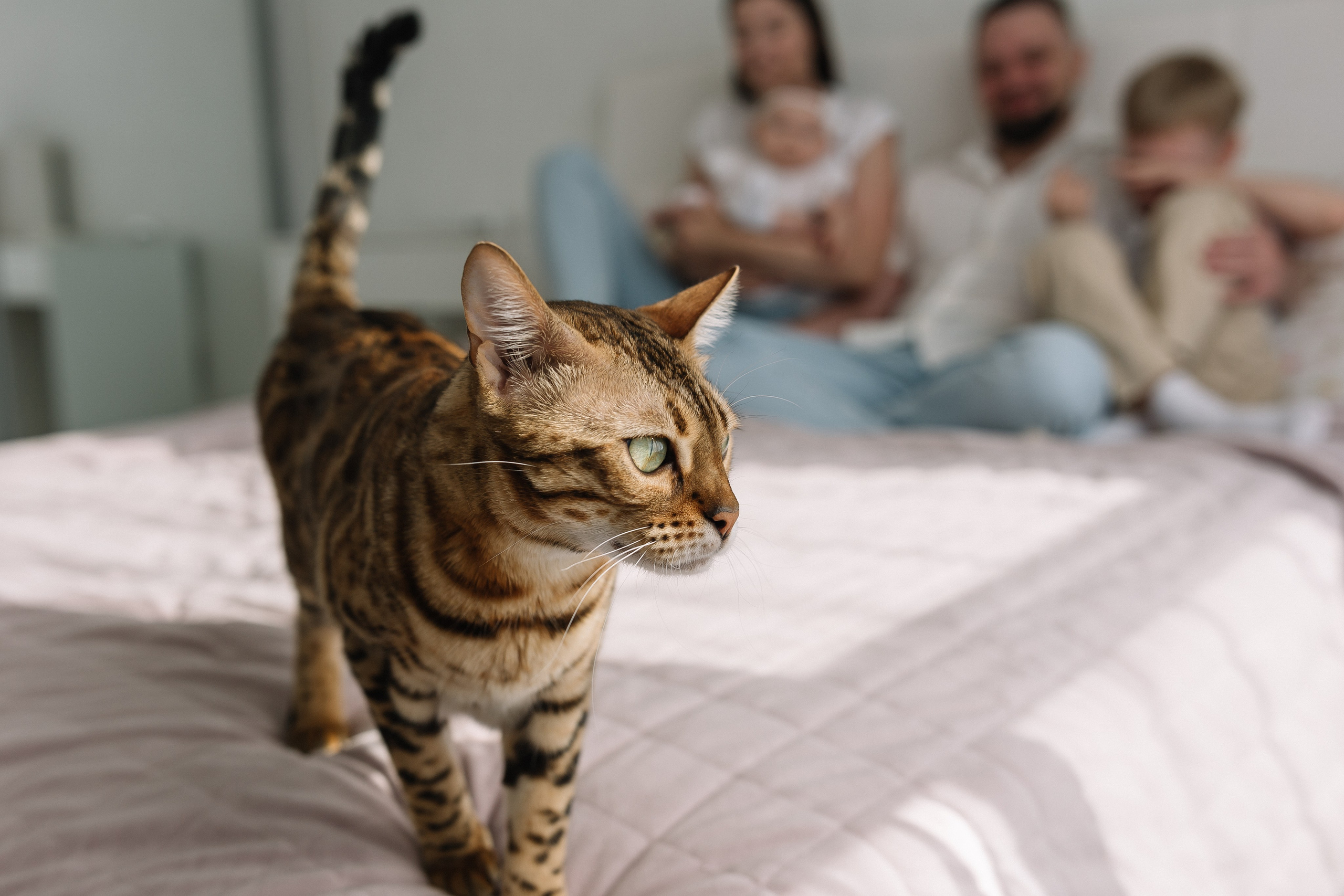 Тима, Мила, Алёша, Алисия домашняя. Семейный фотограф в Волгограде Надежда Головко