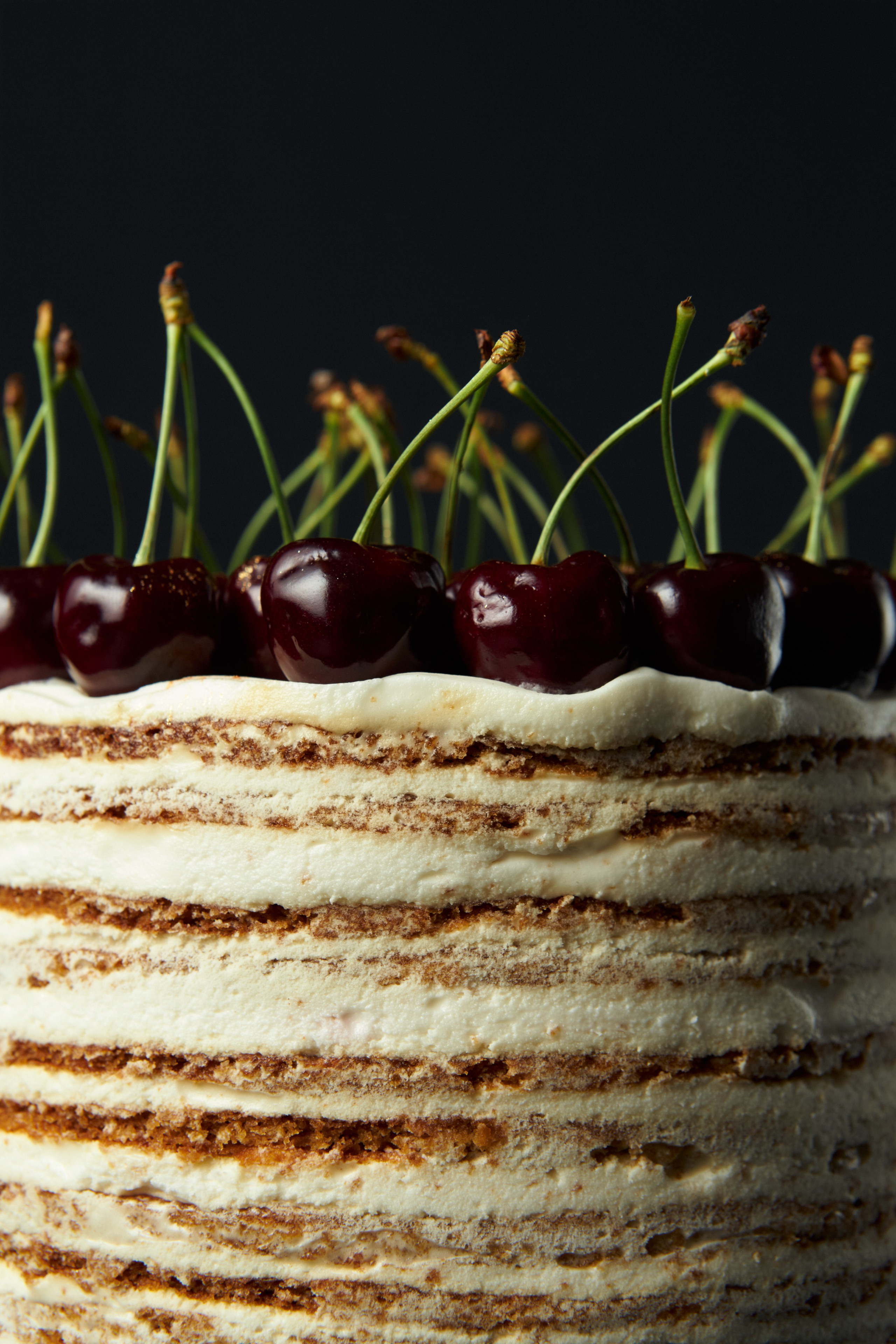 Honey cakes. Commercial photographer | Anton Ermakov