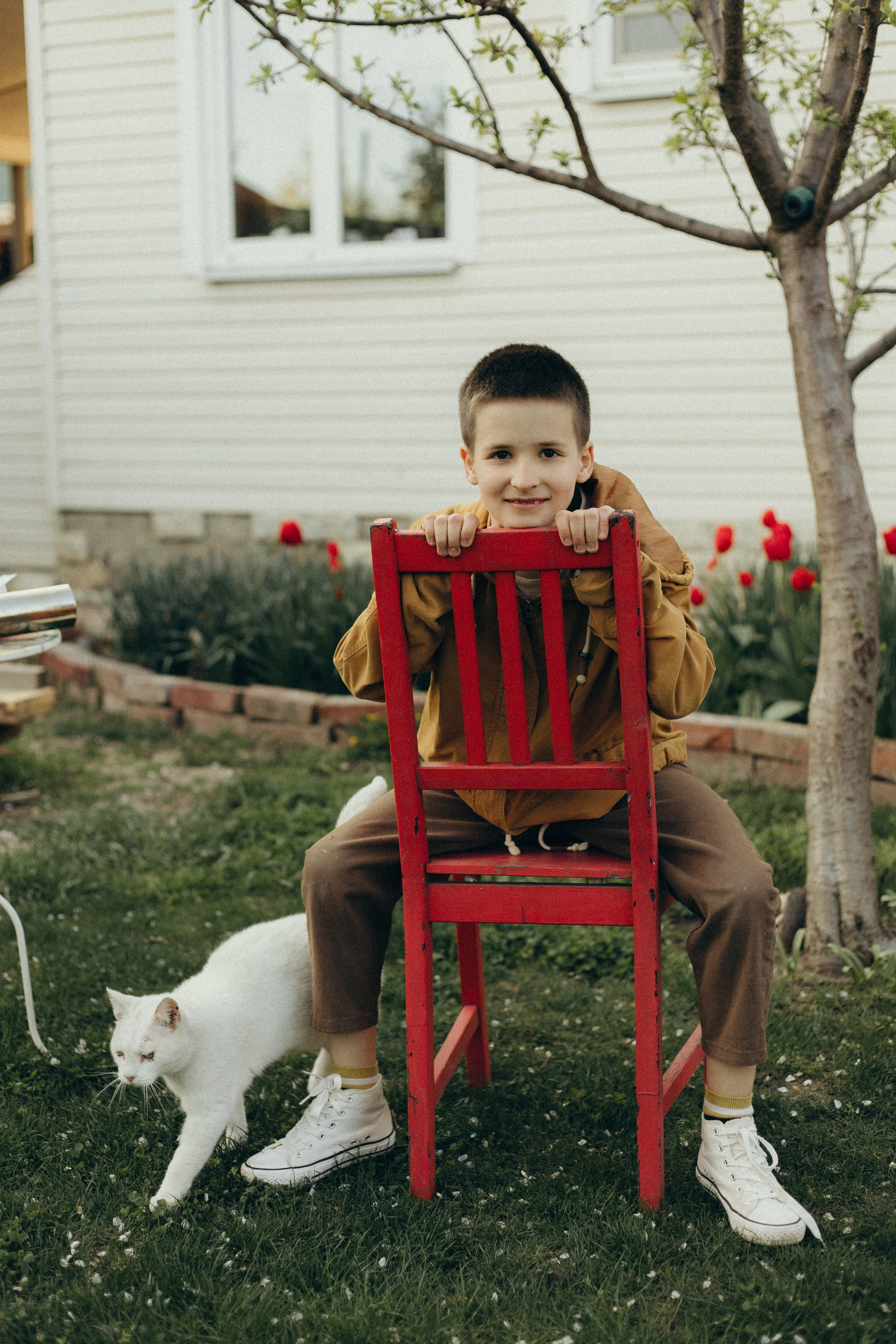 Домашняя история. Meryfotoidea