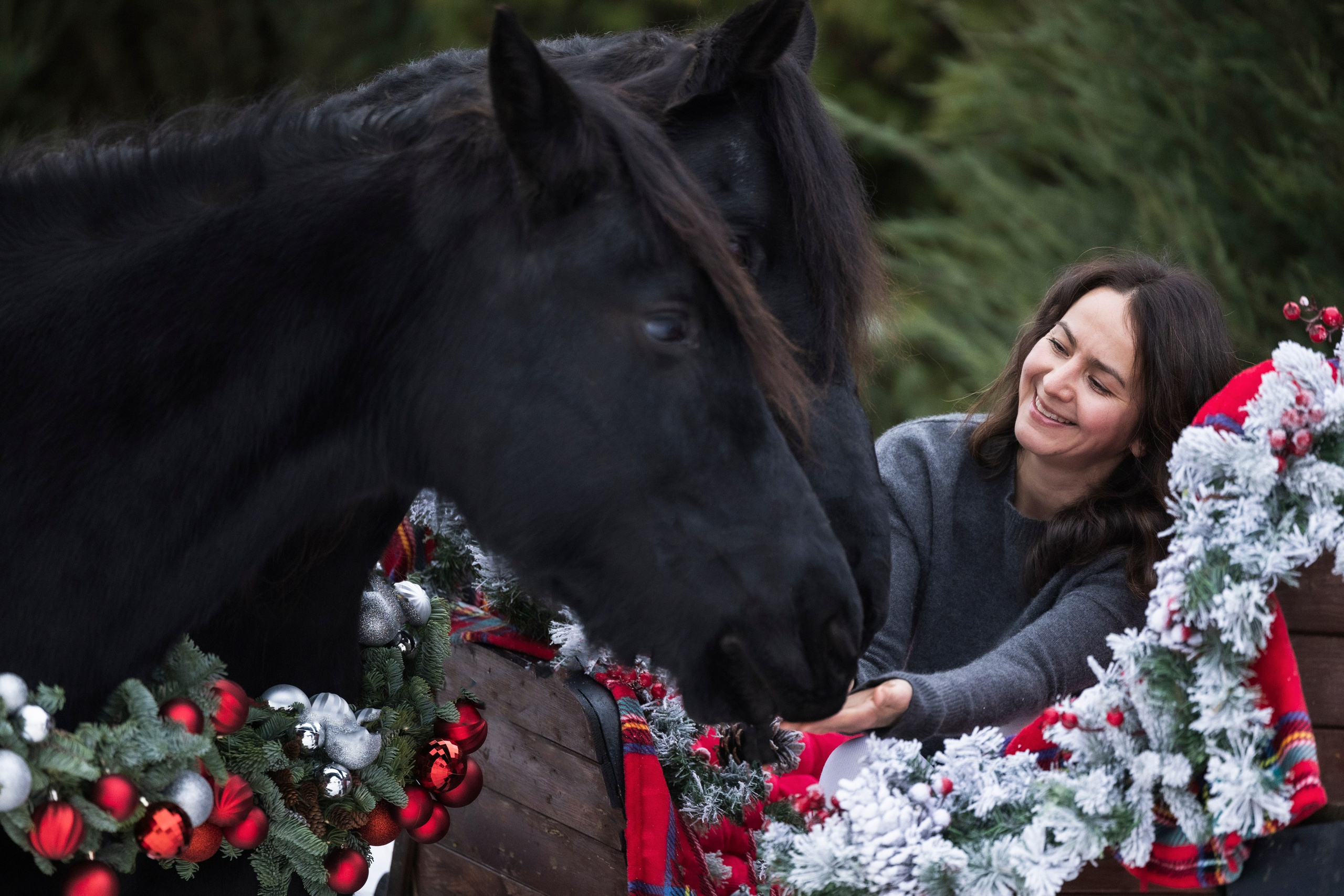 Отзывы. Фотограф-анималист Юлия Удовенко