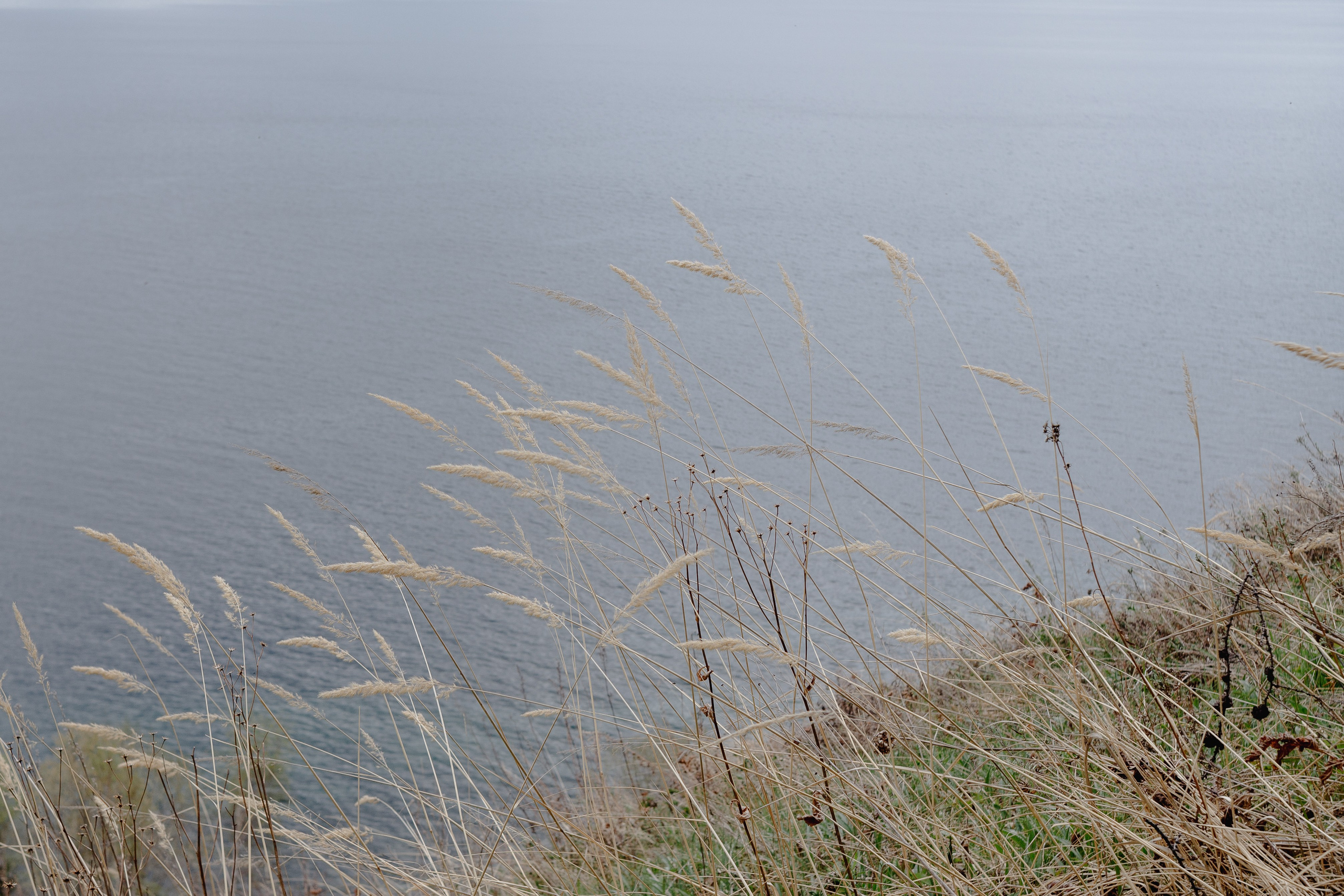 Ретрит на Байкале / Школа Ведических знаний SoVA / 7 дней, 2023. Борщевская Елизавета / фотограф Иркутск