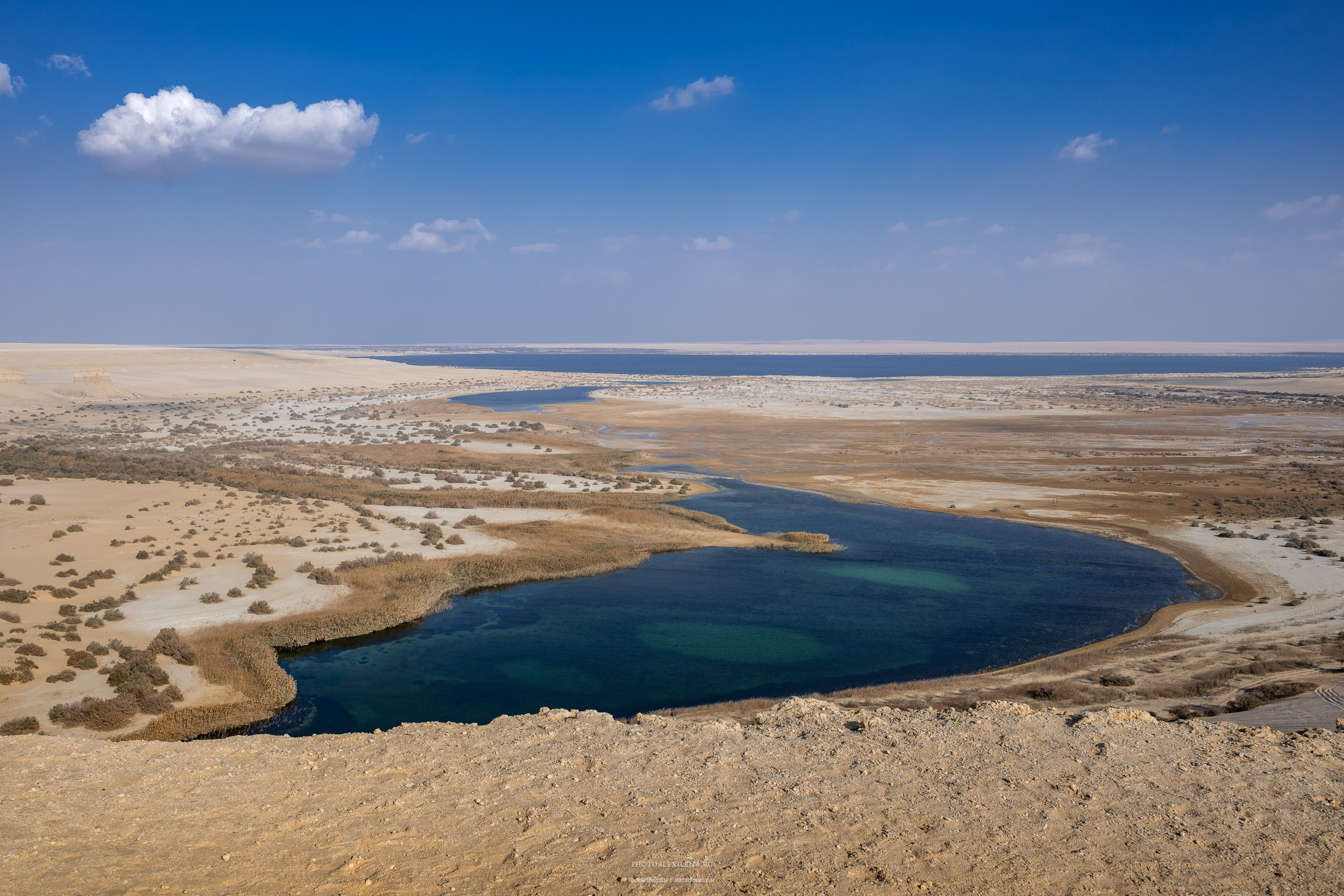 Снова в пустыню, за скелетами…. Авторские стильные фотокартины
