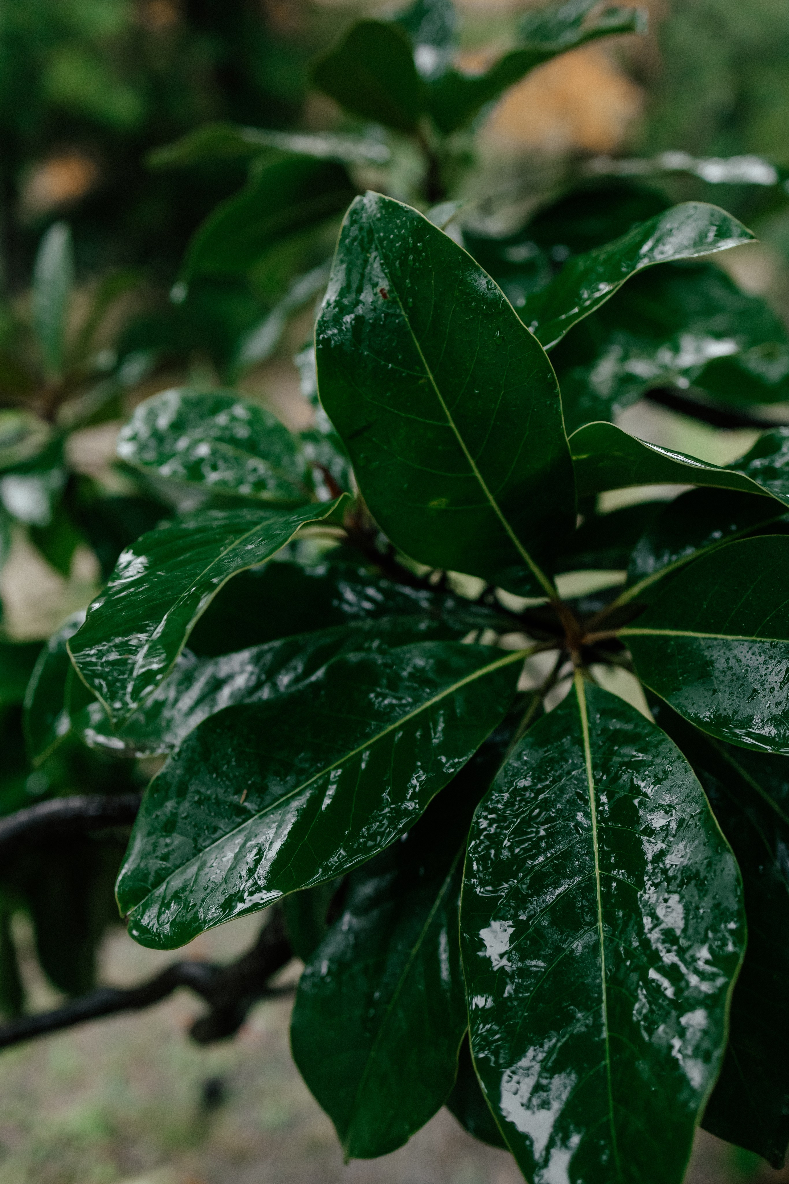 Сочи в декабре. Портретный фотограф в Санкт-Петербурге