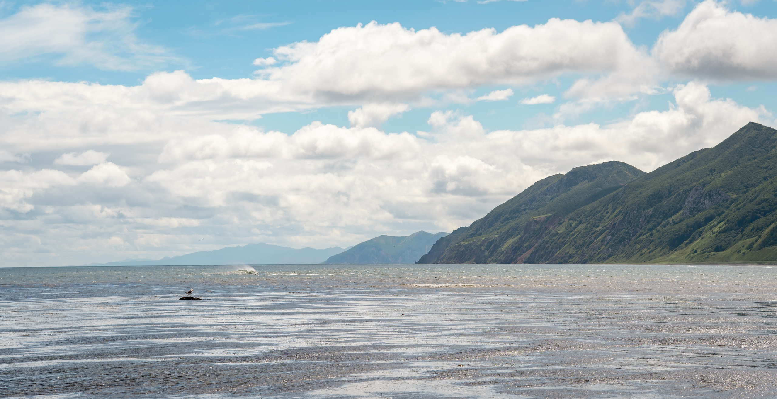 Сахалин. Семейный фотограф Варвара Сорока в городе Москве